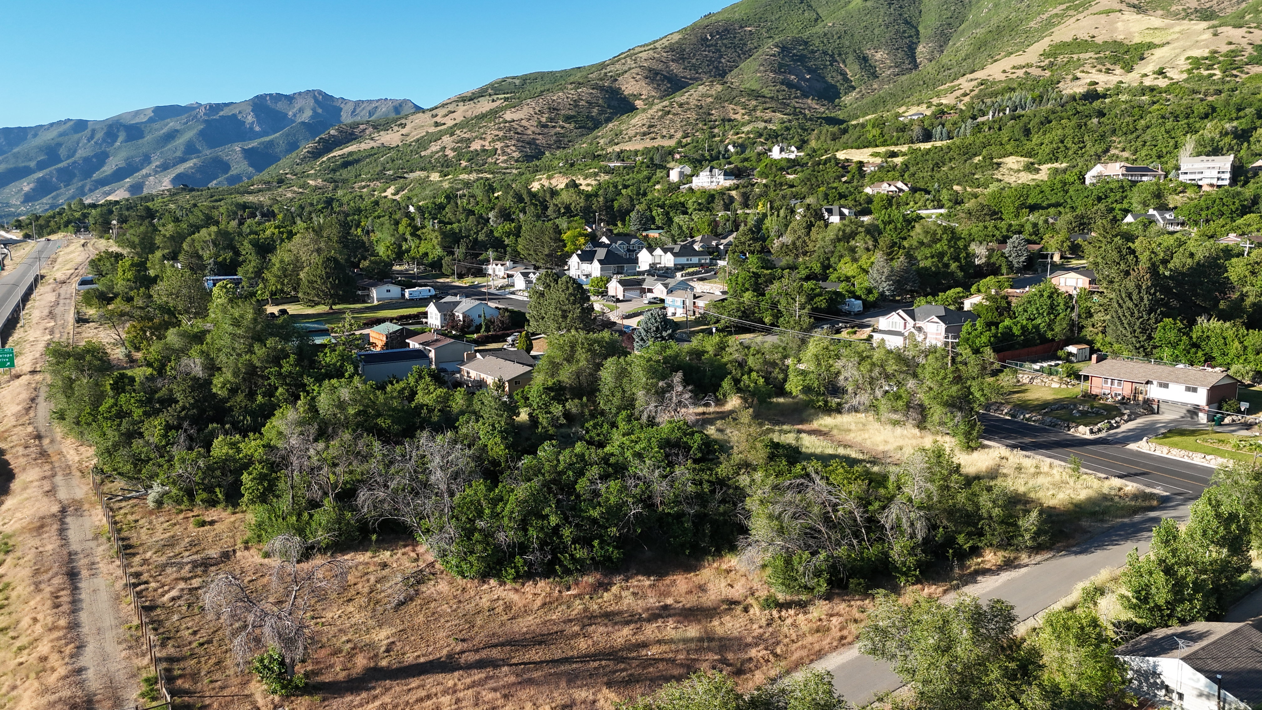 Expansive mountain landscape with diverse terrain and mature trees