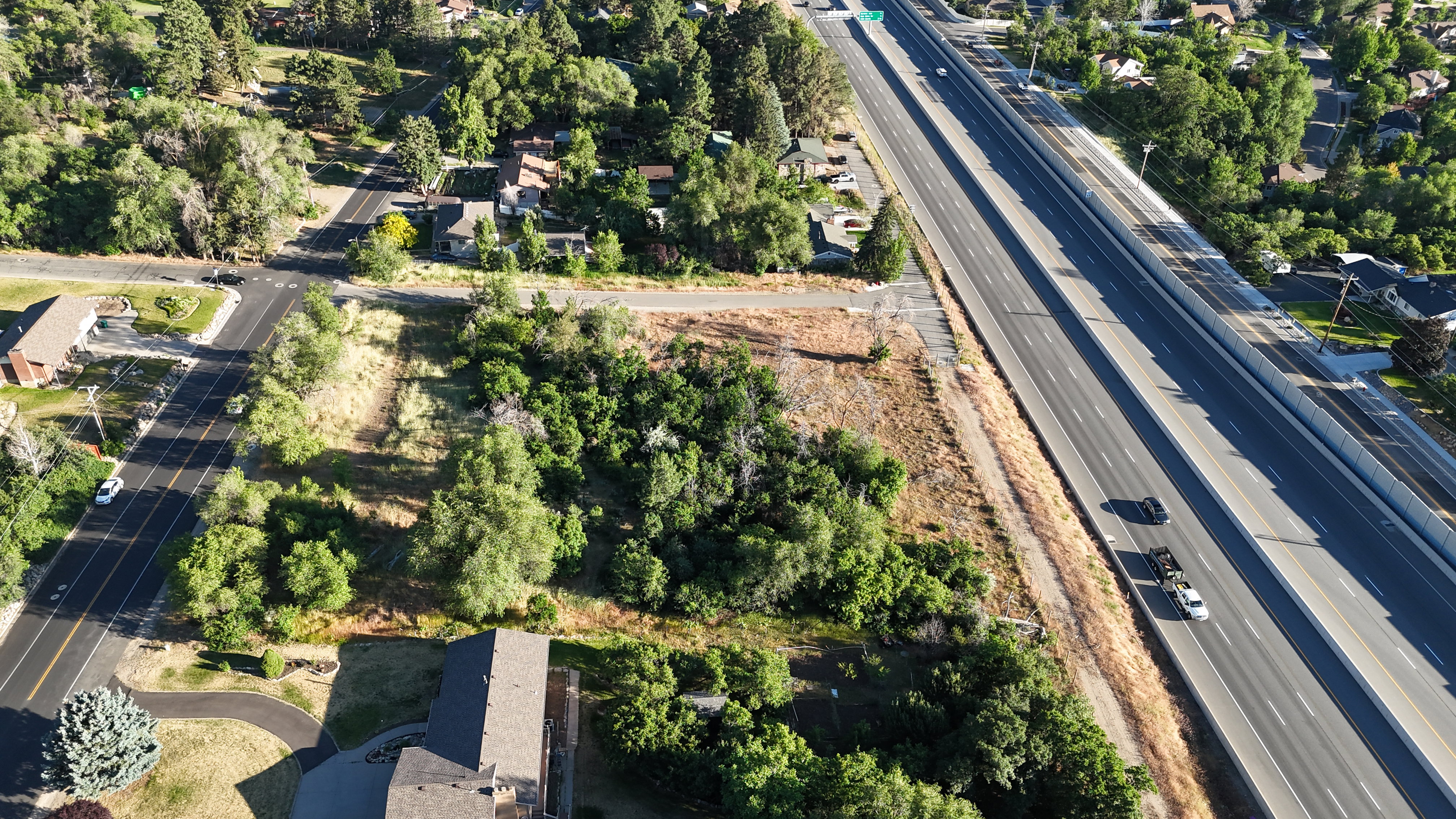 Expansive undeveloped land parcel featuring mature trees and direct street frontage