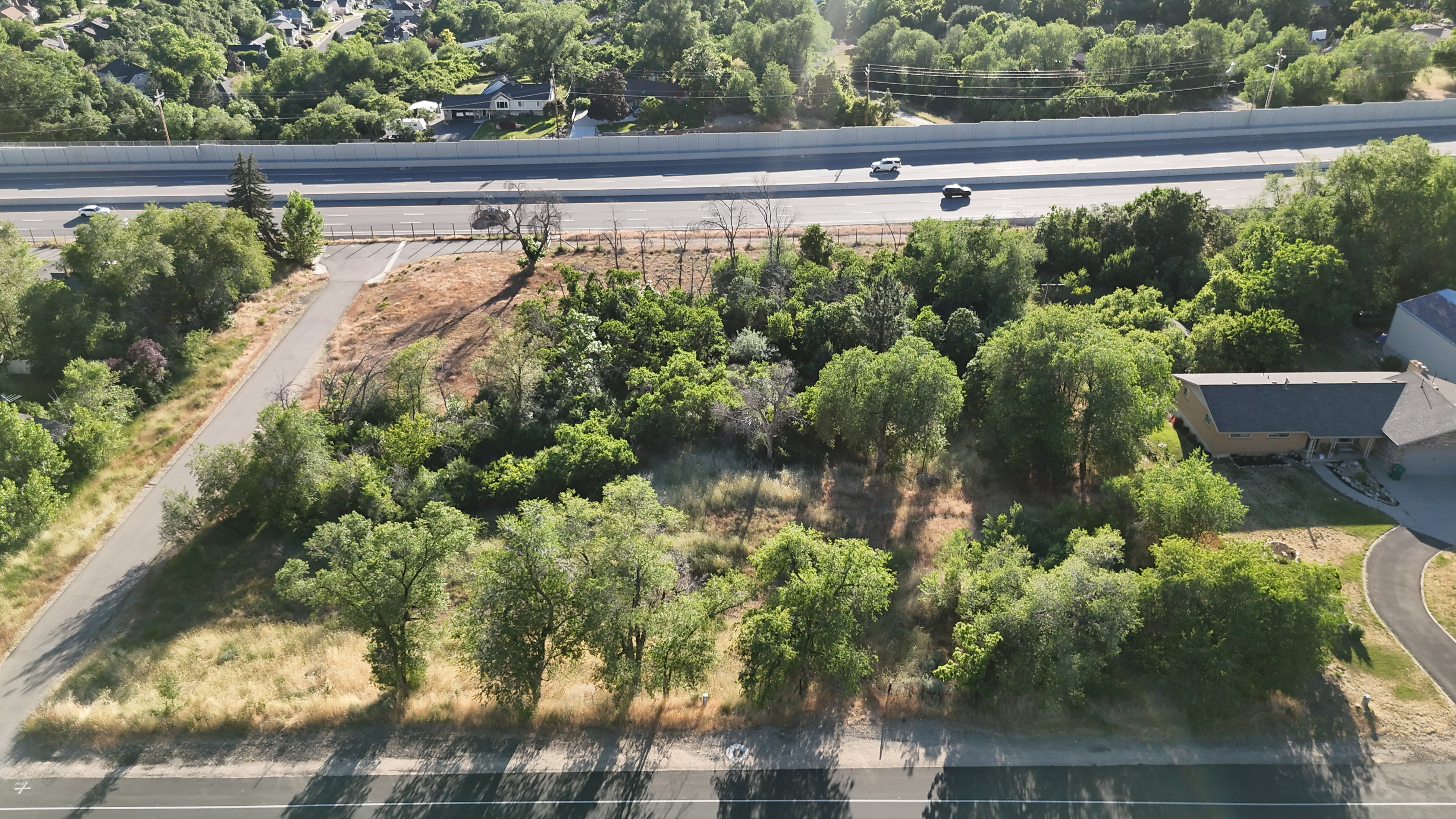 Expansive lot featuring mature trees and varied foliage