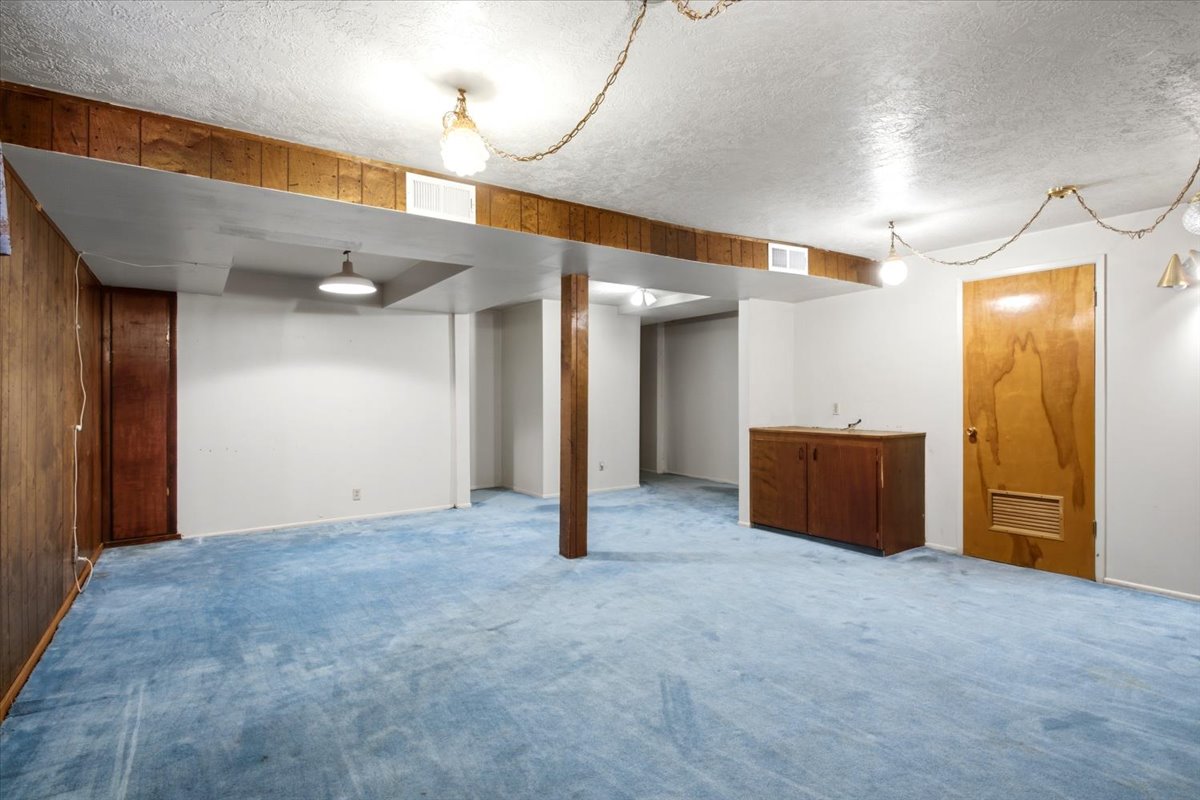 Spacious room featuring wood-paneled walls, light blue carpeting, and built-in cabinetry