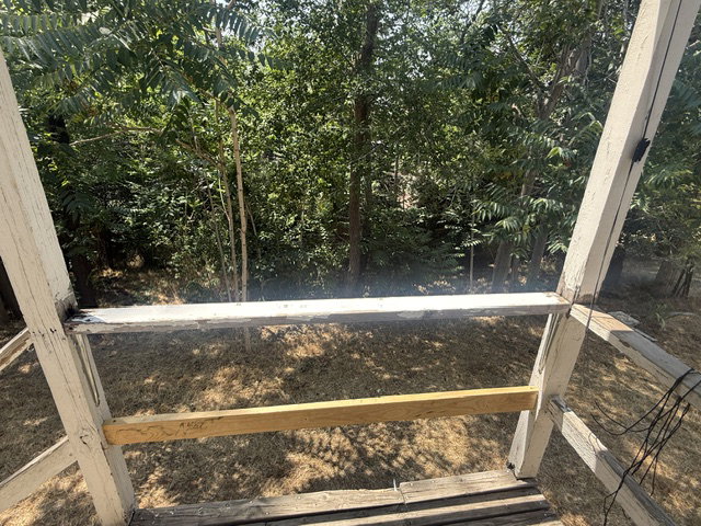 Outdoor deck with wood railings, a partial wood-plank floor, and a backdrop of mature trees