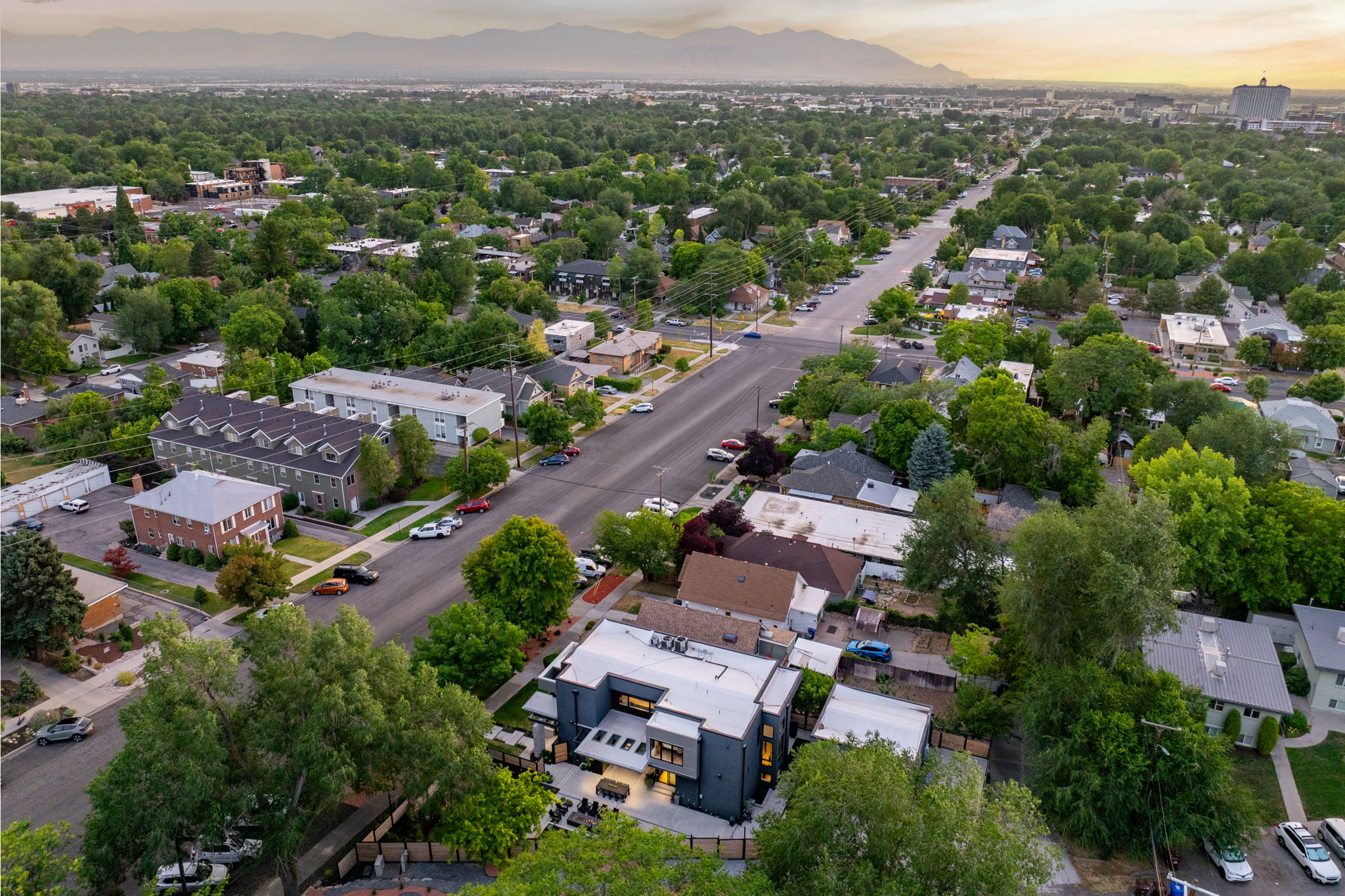 Aerial perspective of a tree-lined neighborhood with varied residential architecture