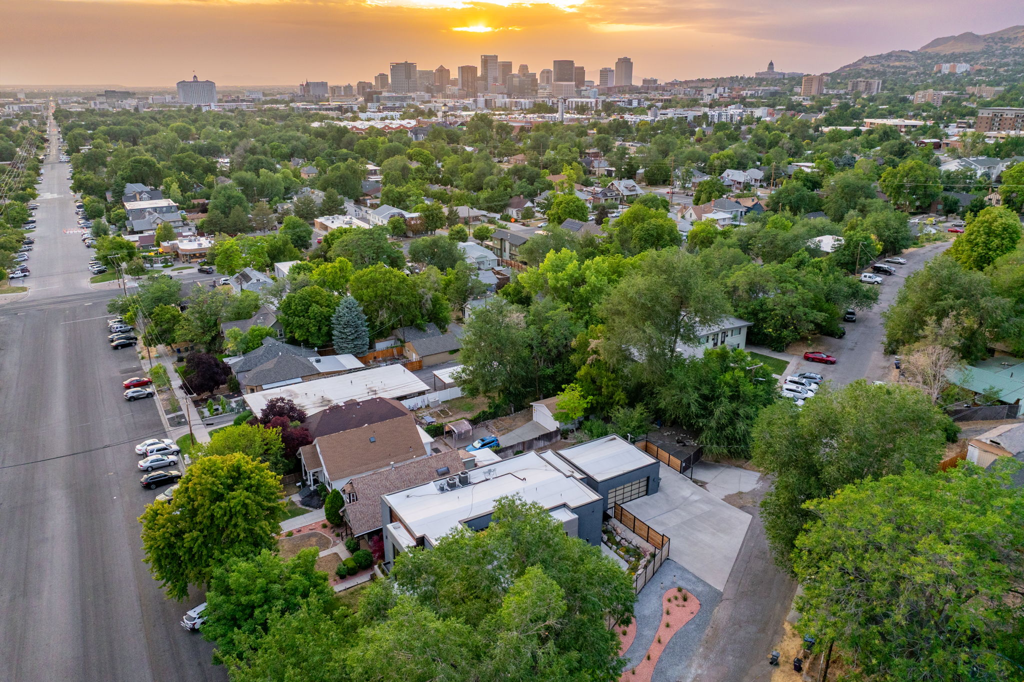 Aerial perspective showcasing an urban neighborhood with mature trees and city skyline in the background