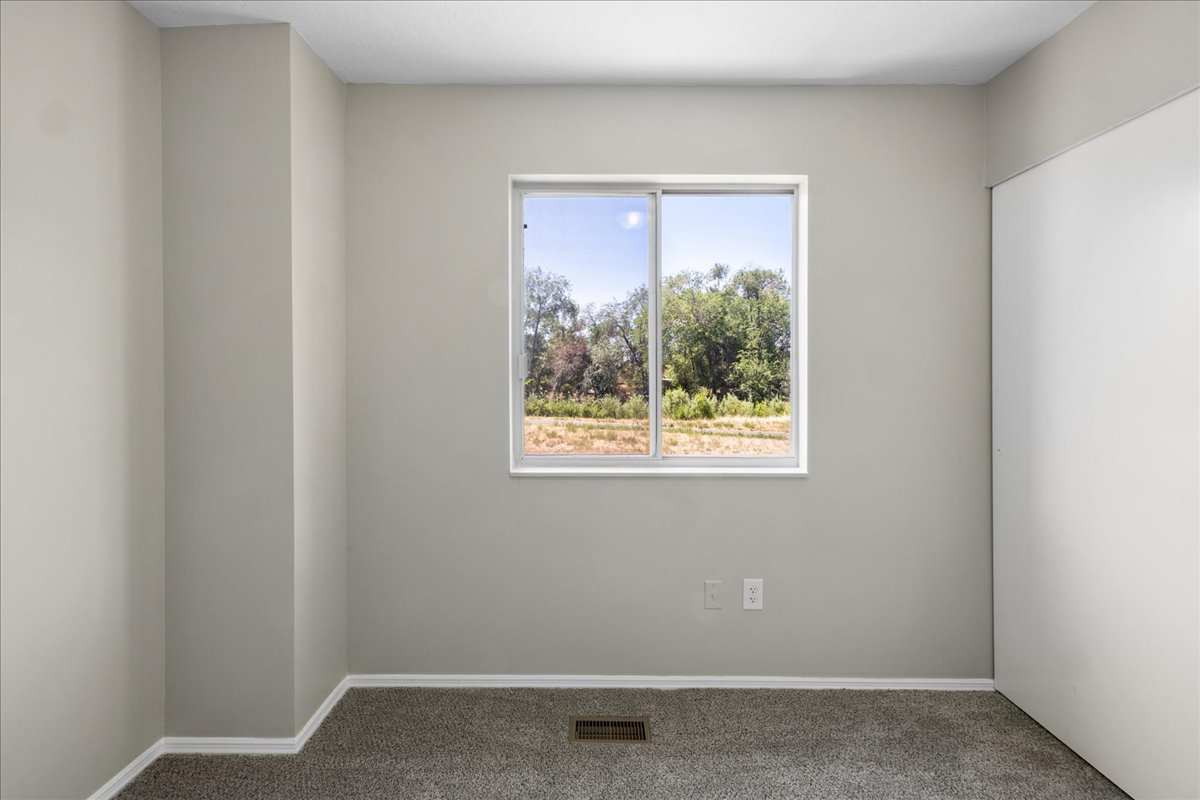 Light gray painted interior room featuring a white-framed window, carpeted flooring, and white baseboards