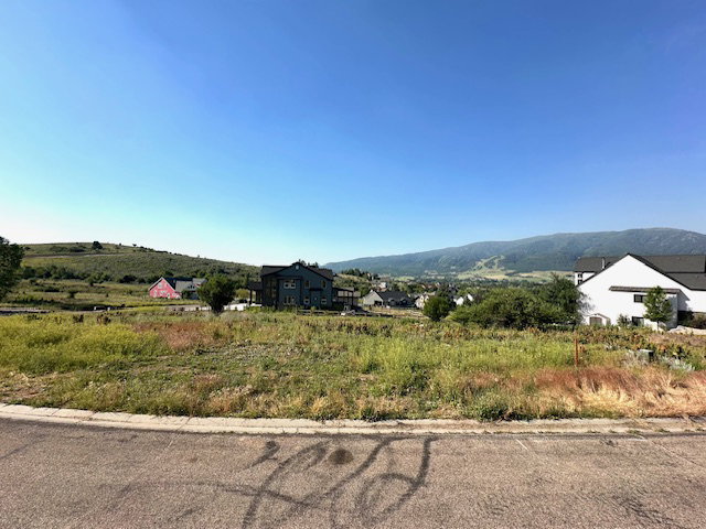 Expansive building lot featuring natural landscaping and mature trees