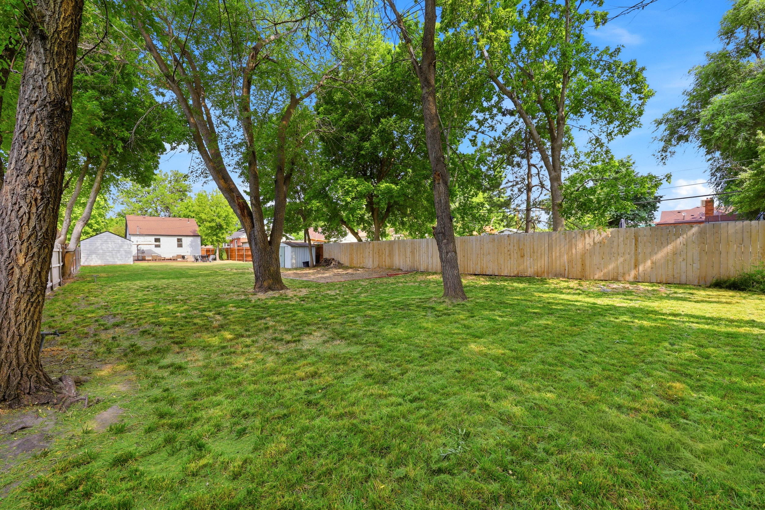 Expansive grassy lawn with established trees and a privacy fence