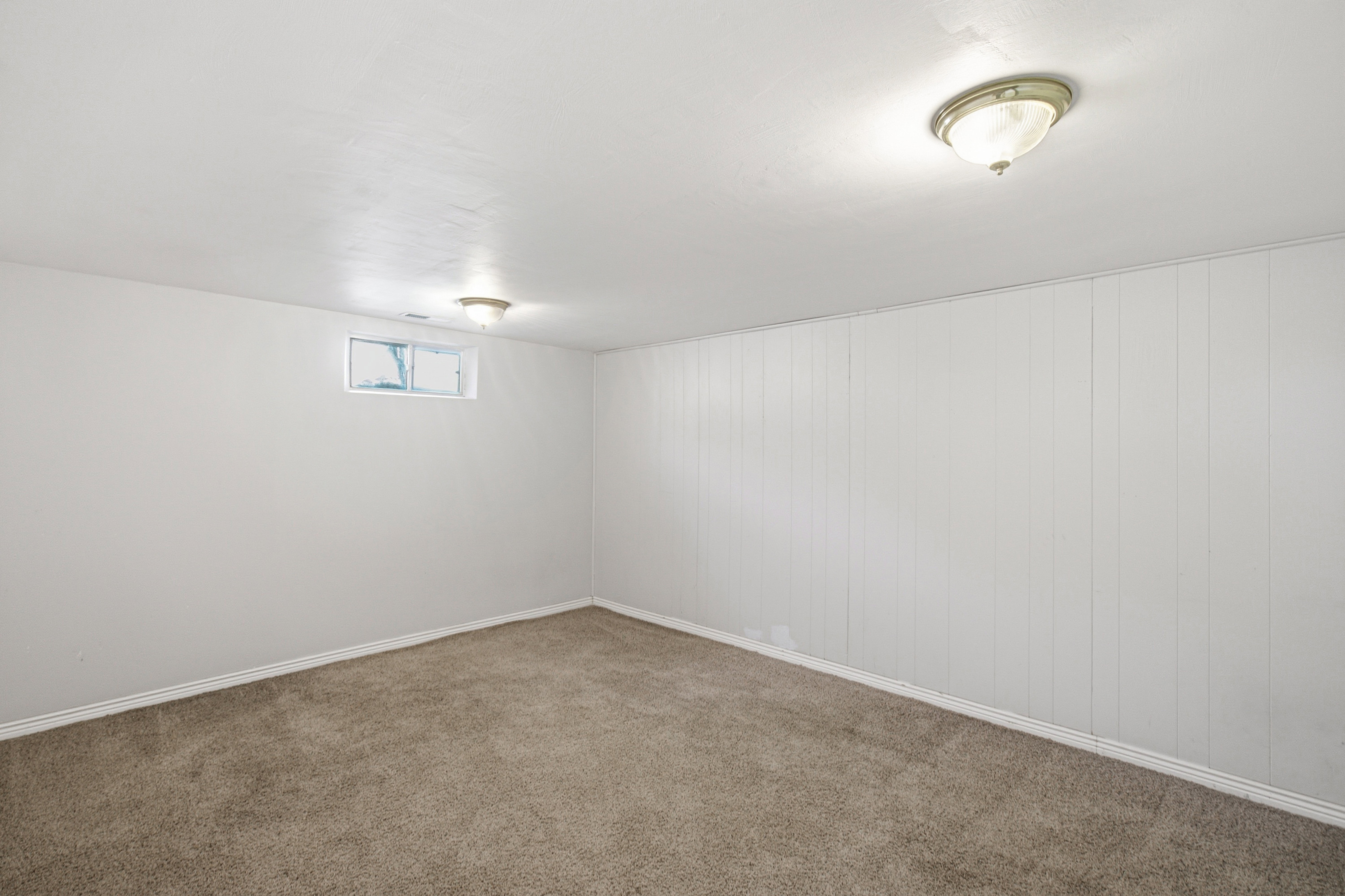 Spacious room featuring neutral carpeting, a white ceiling with two flush-mount light fixtures, and white baseboards