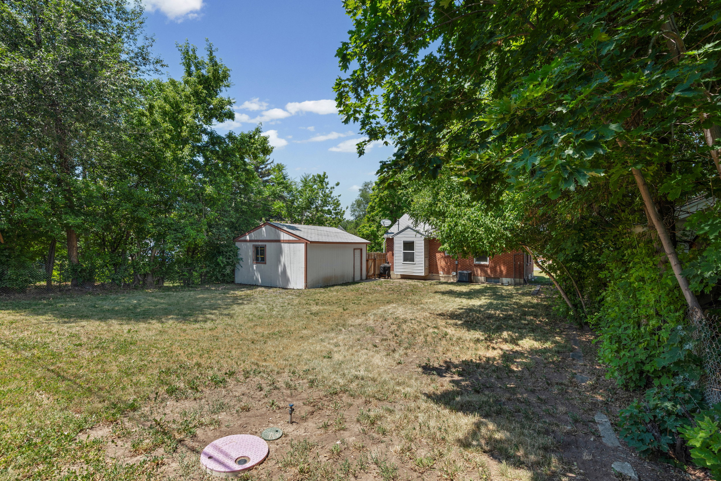 Expansive backyard featuring a detached storage shed with a brown trim, mature perimeter trees, and a visible septic tank cover