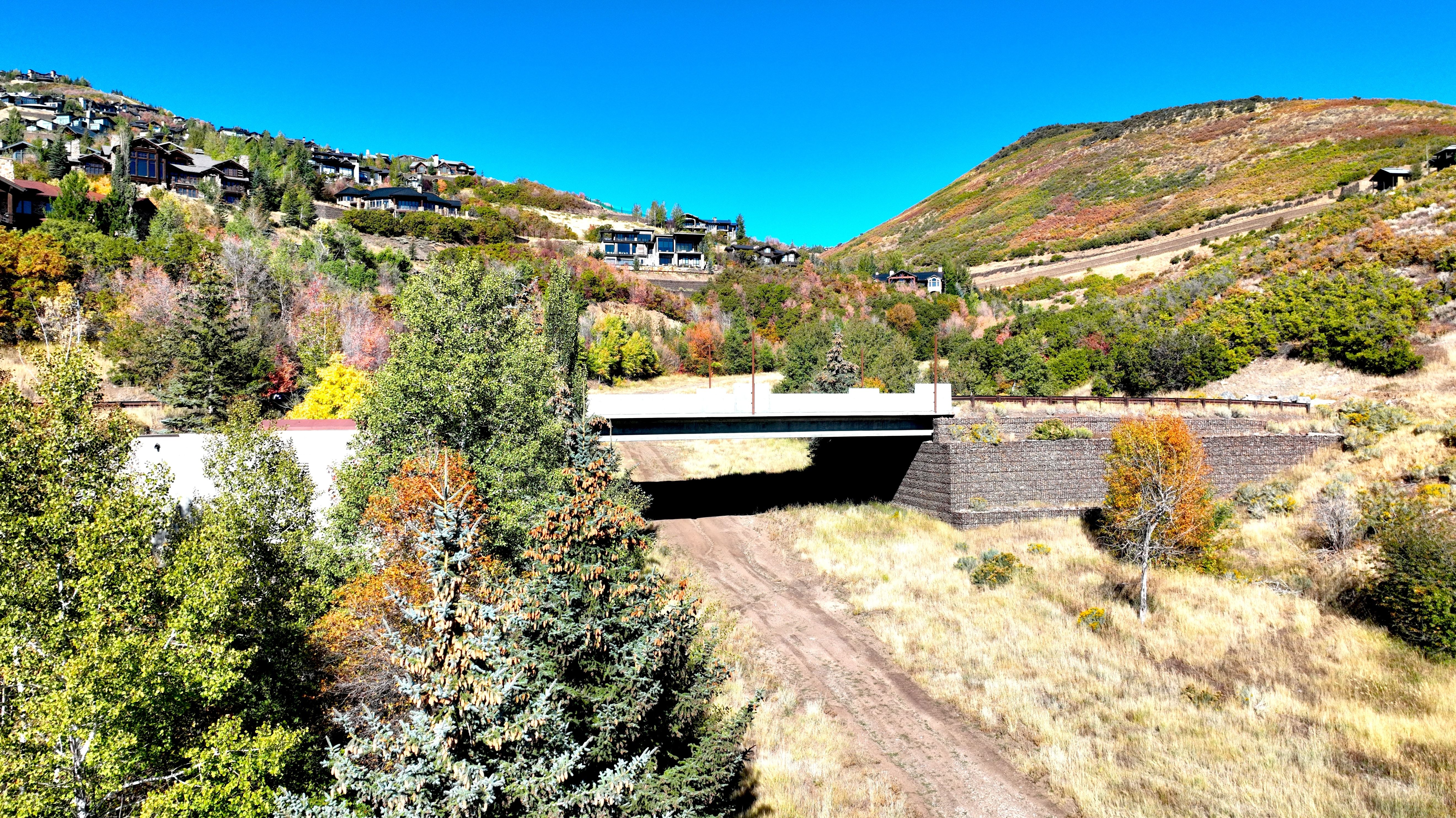 Mountainous terrain featuring diverse foliage and distant residences