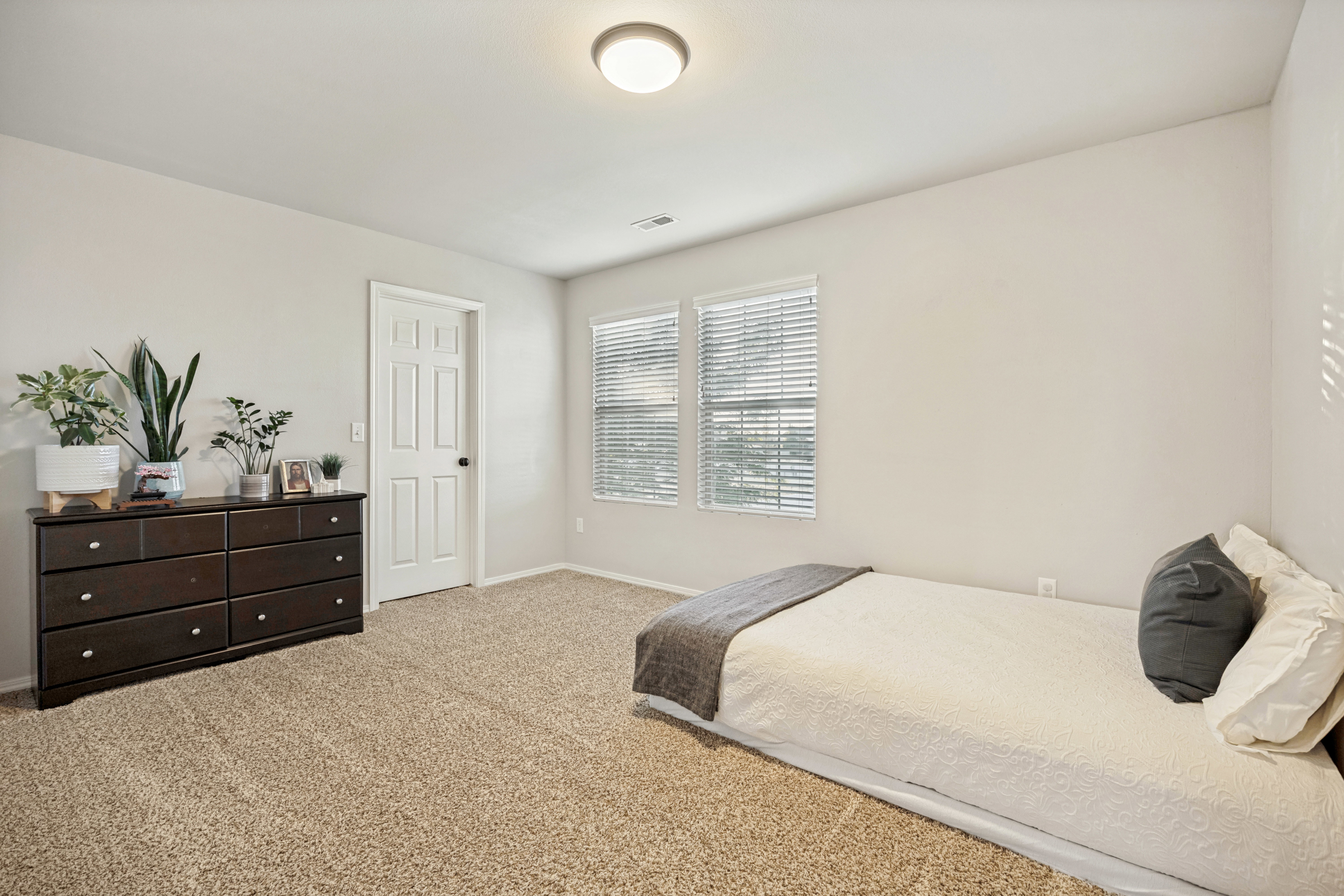 Carpeted interior space featuring light neutral wall paint, two windows with blinds, a white paneled door with black hardware, and a ceiling-mounted light fixture