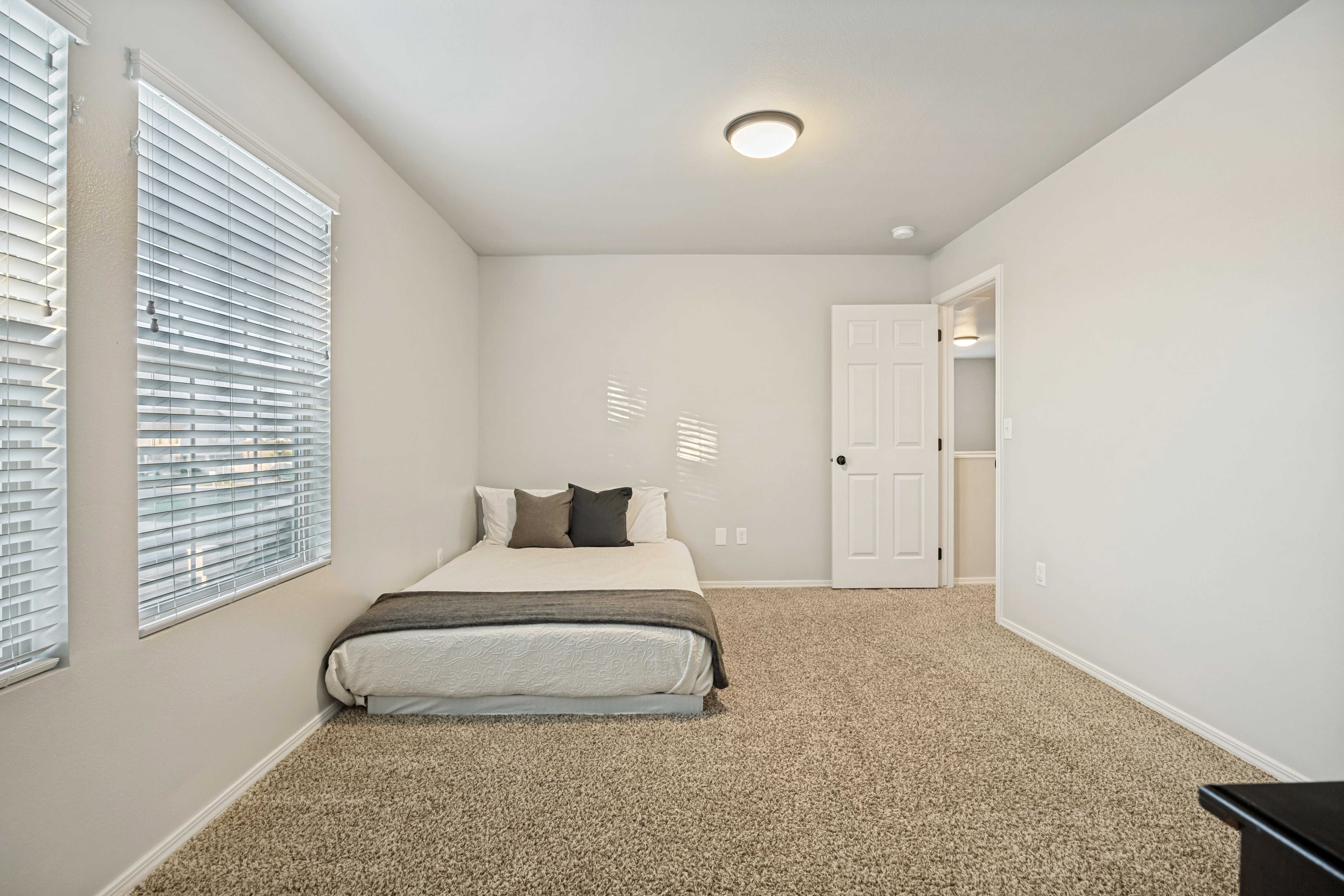 Carpeted room featuring two window units with blinds, a solid interior door with a paneled design and black hardware, and a ceiling-mounted light fixture