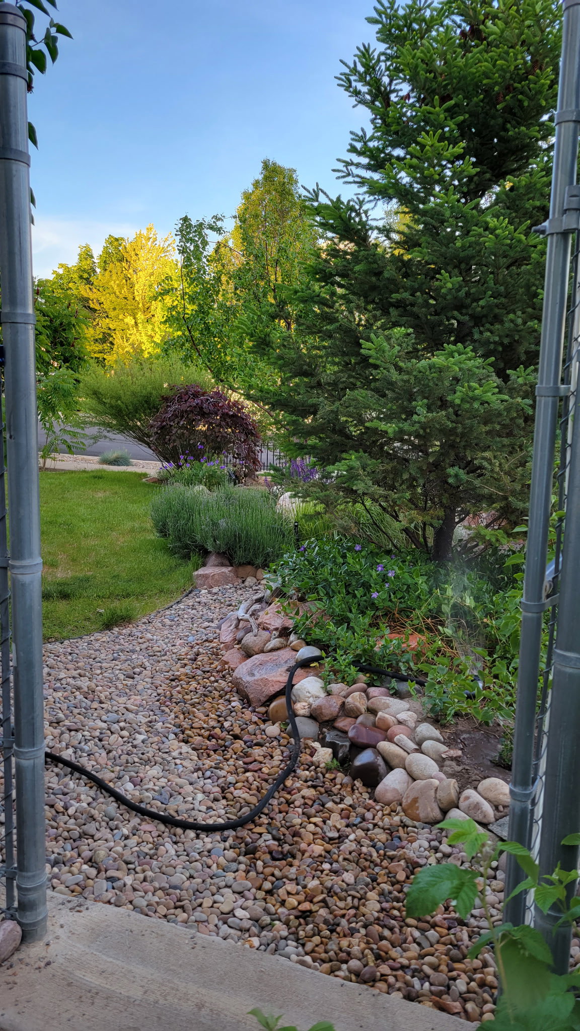 Landscaped exterior featuring a gravel path, decorative river rocks, and mature trees