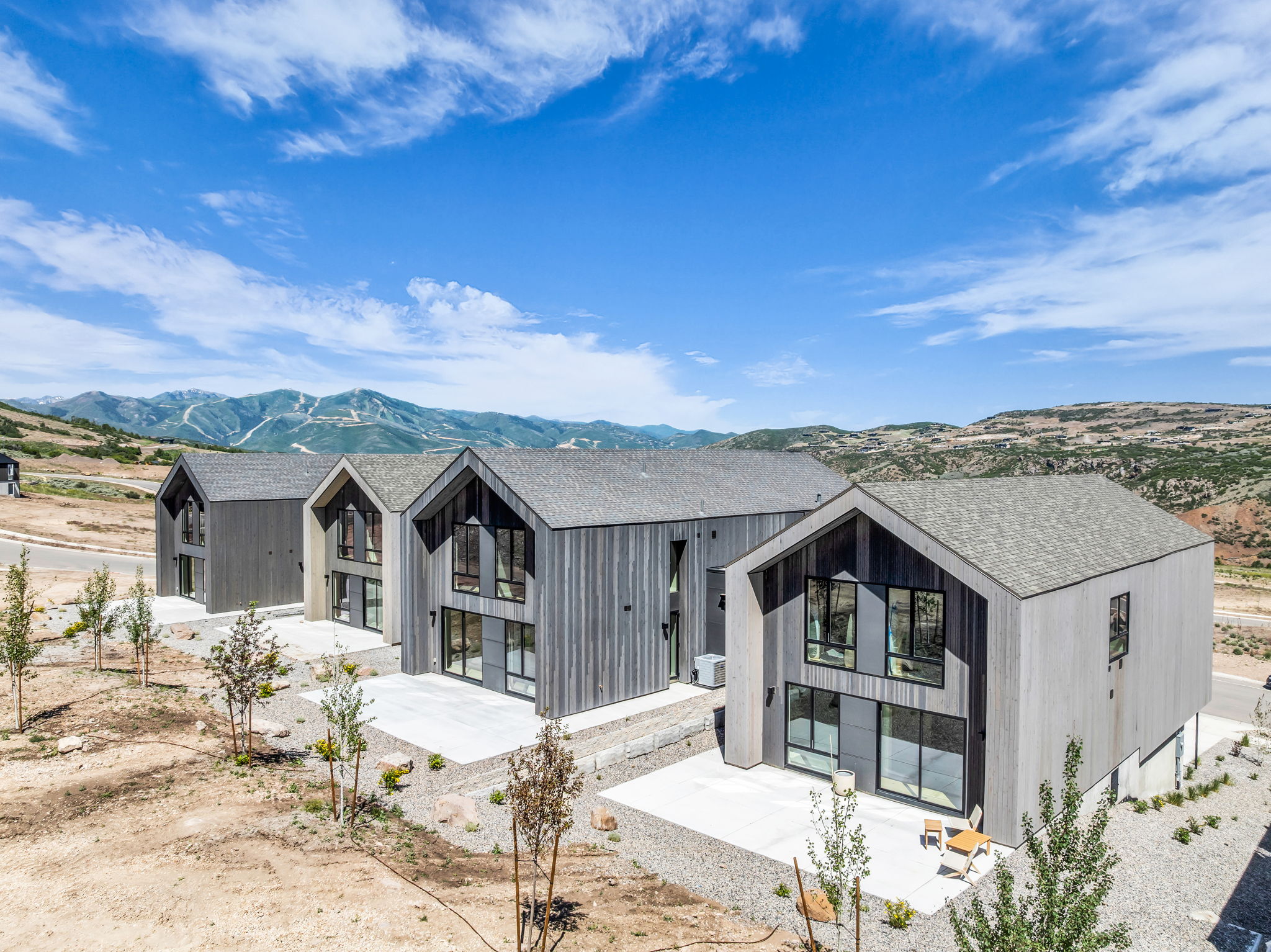 Modern architectural design featuring vertical wood-finish siding, a pitched roofline, large windows, and an expansive concrete patio