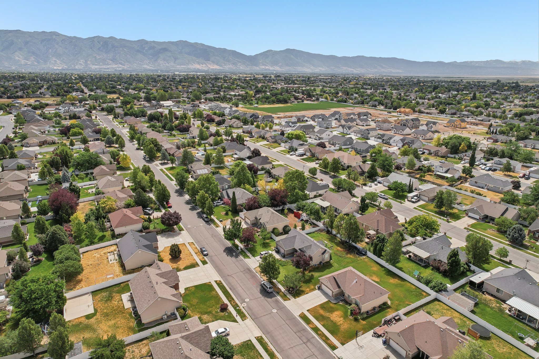 Expansive residential neighborhood with mature trees and well-maintained properties
