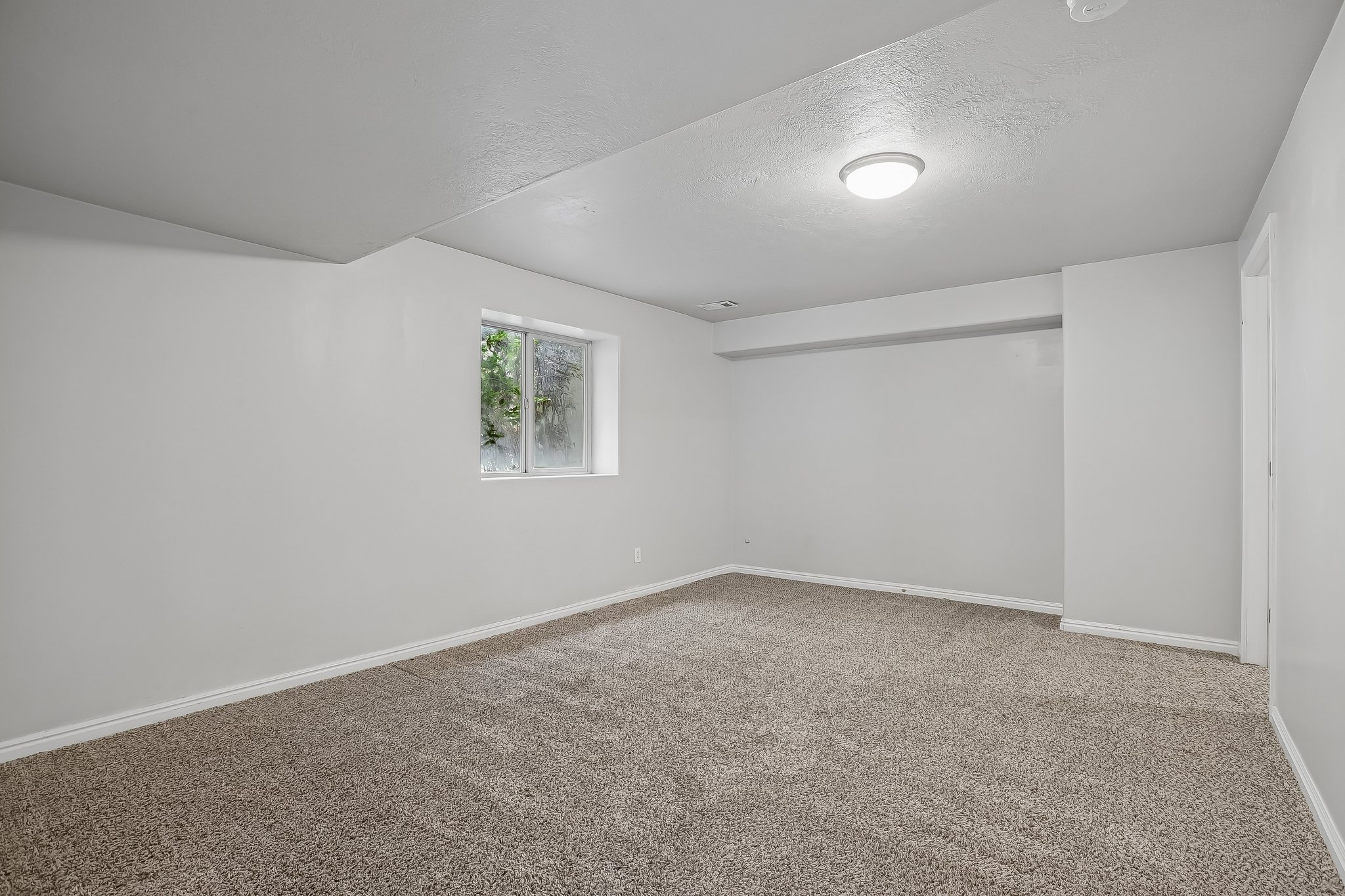 Spacious room featuring neutral carpeting, light gray walls, a window, and a flush-mount ceiling light fixture