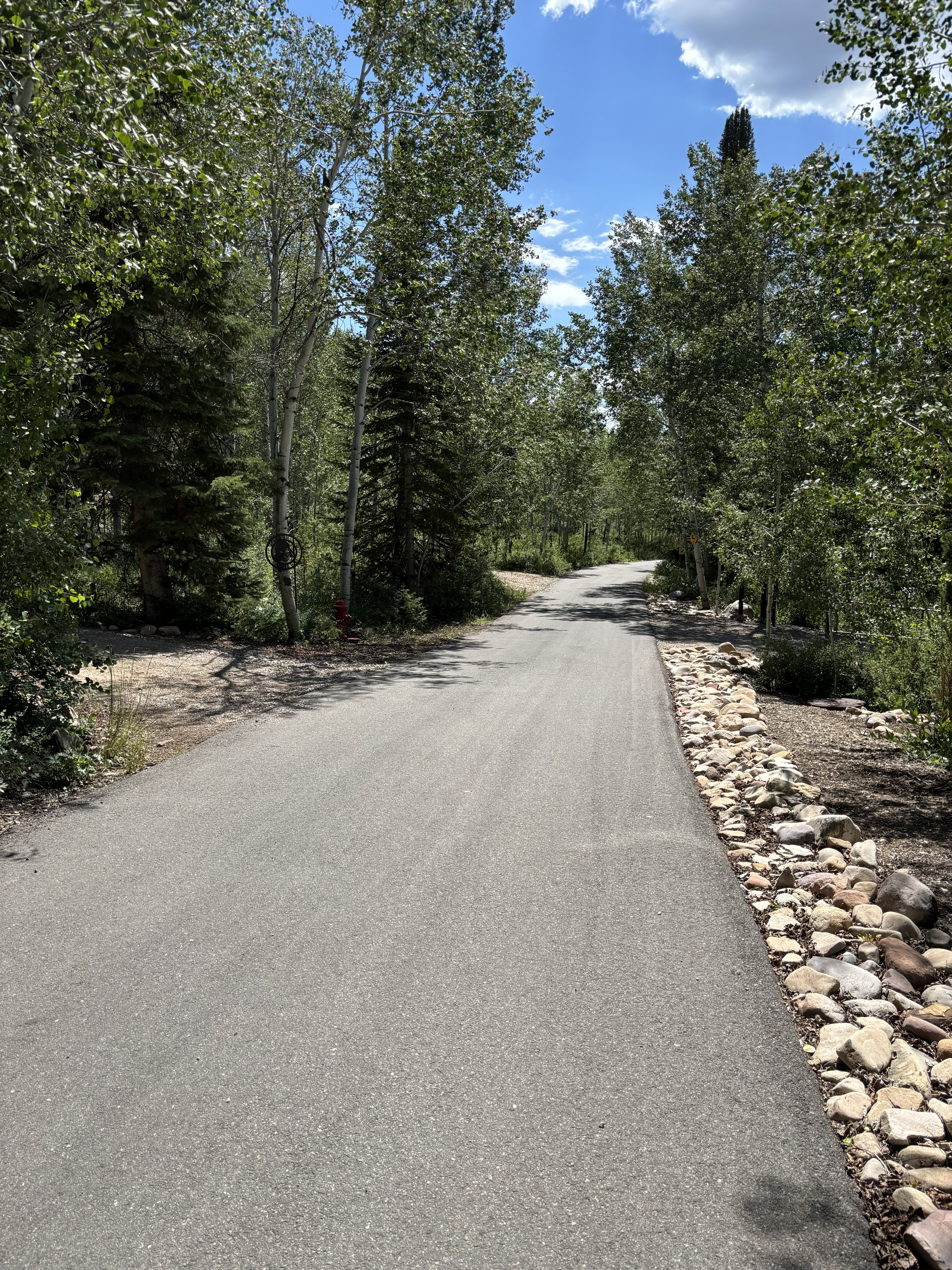 Paved roadway framed by mature trees and natural rock landscaping found throughout Pine Mountains