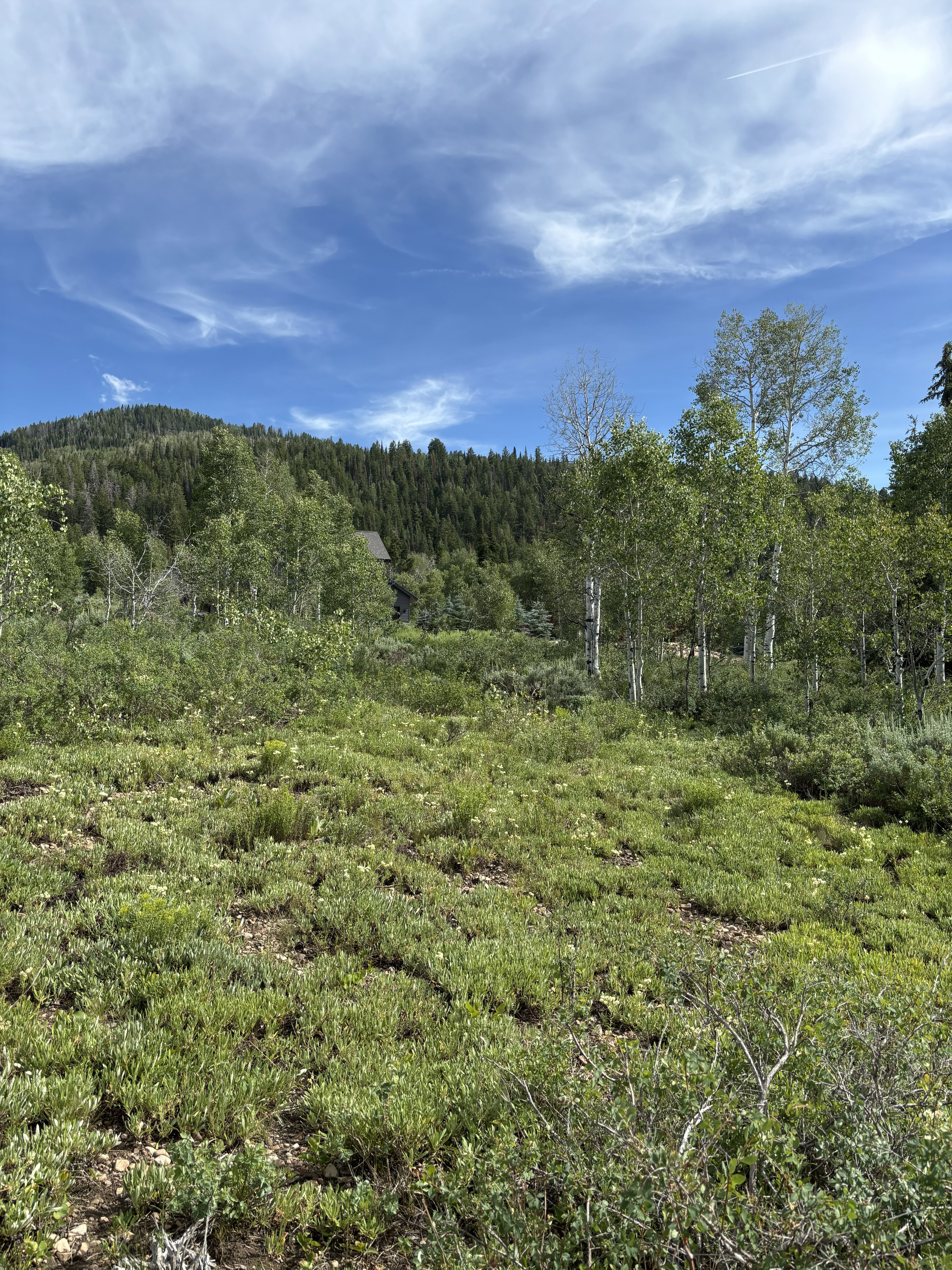 View looking South