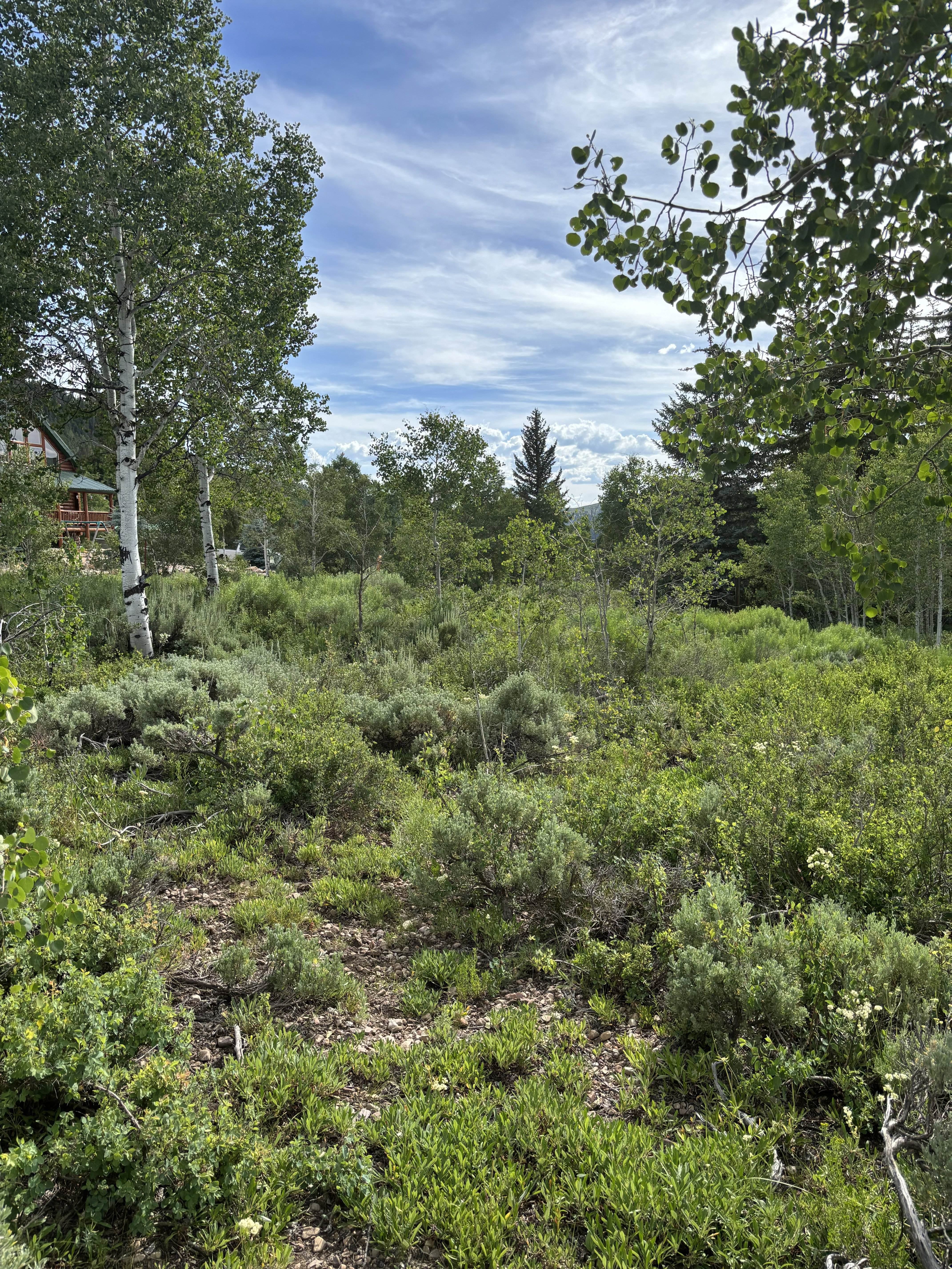 View looking West