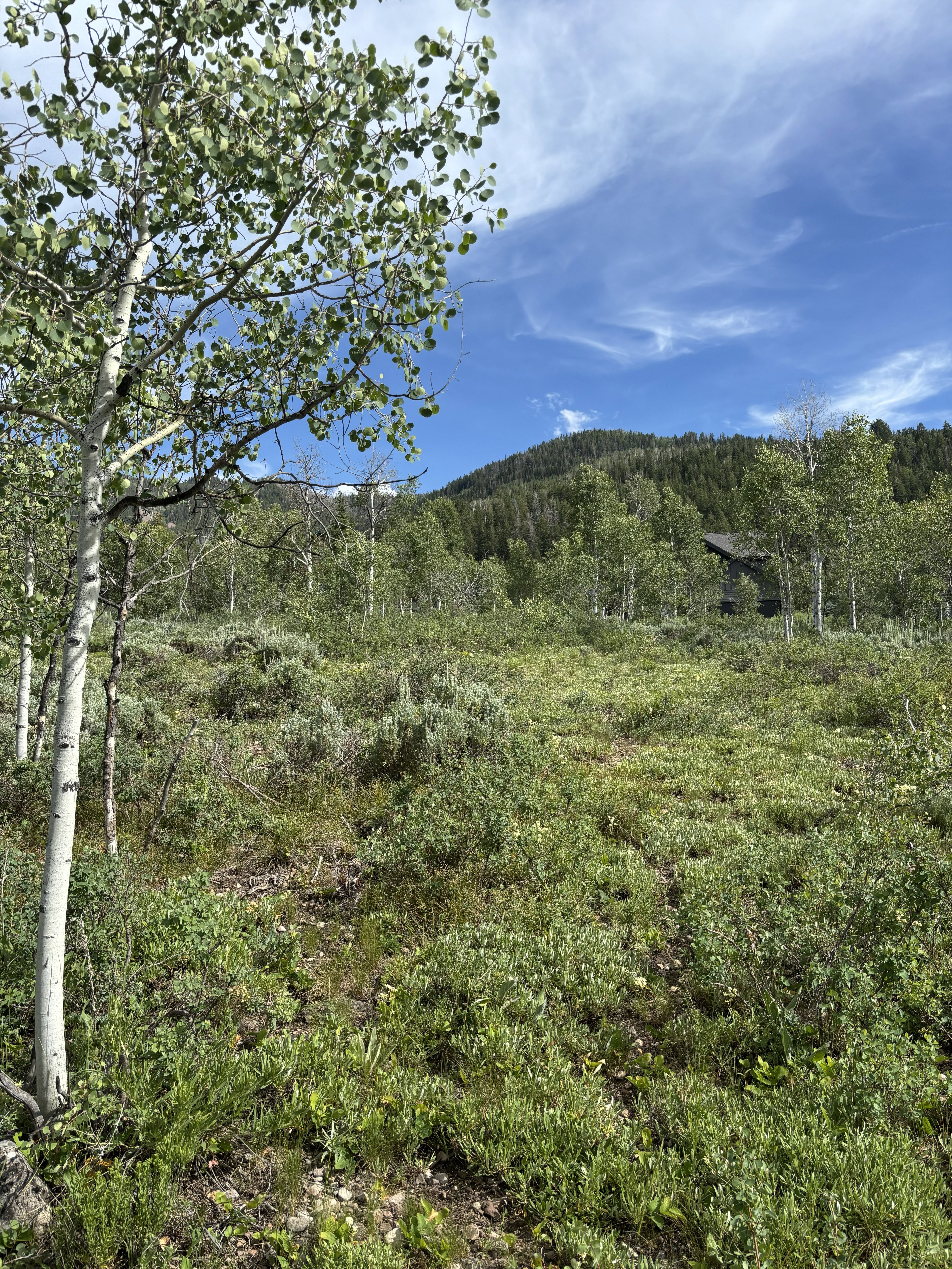 View looking East