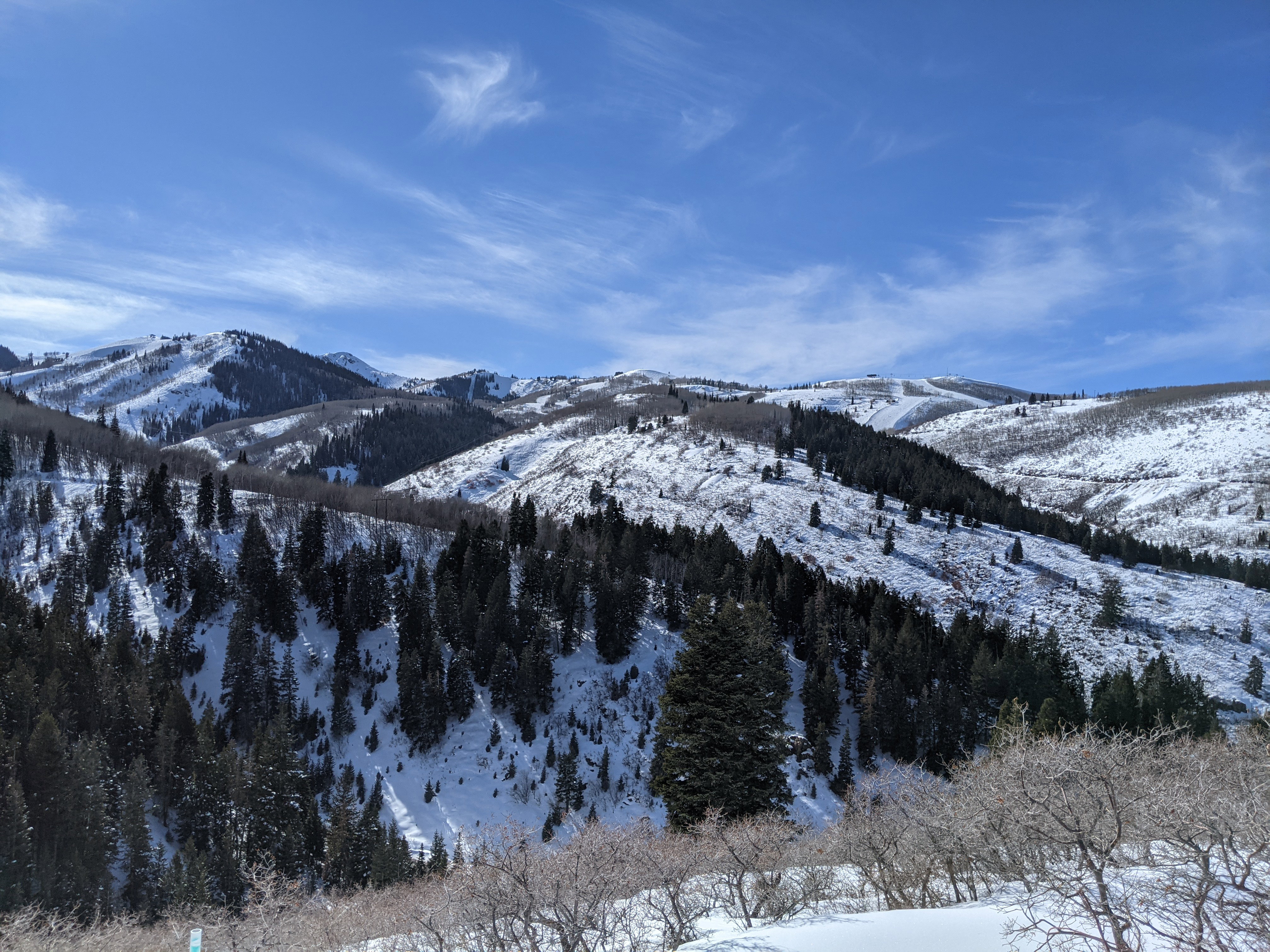 Expansive mountain landscape featuring snow-covered terrain, mature evergreen forests, and distant ski trails under a clear blue sky