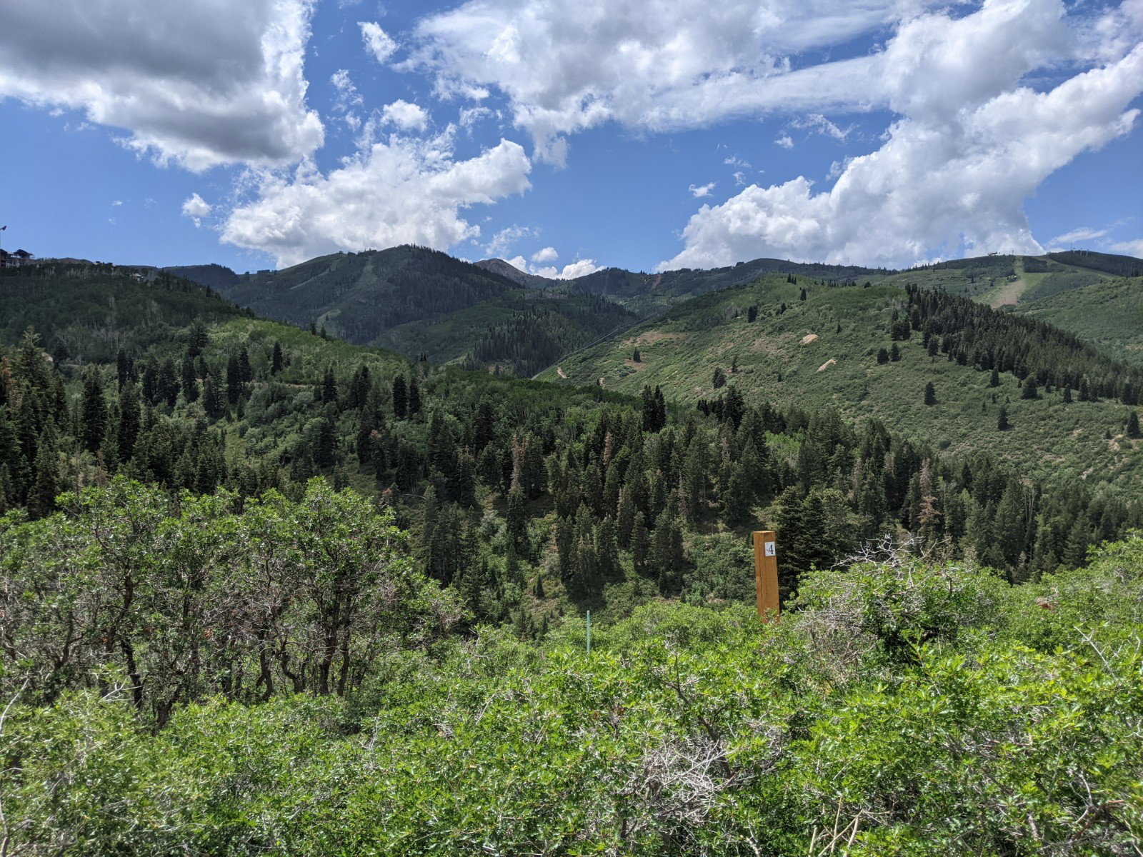 Expansive mountain landscape featuring dense evergreen forests and varied deciduous foliage