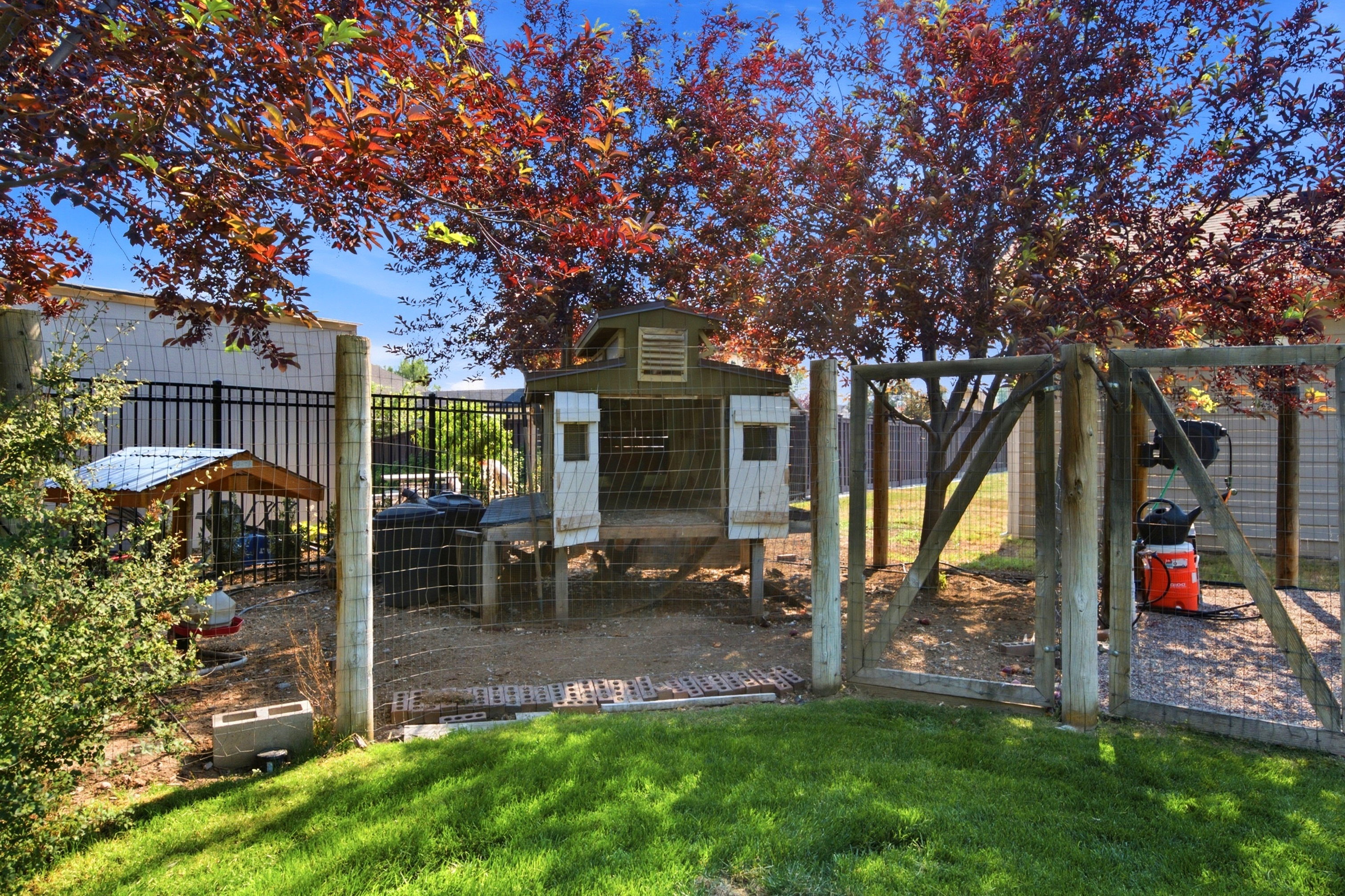 Fenced outdoor enclosure featuring a raised coop, secondary covered structure, and wire fencing