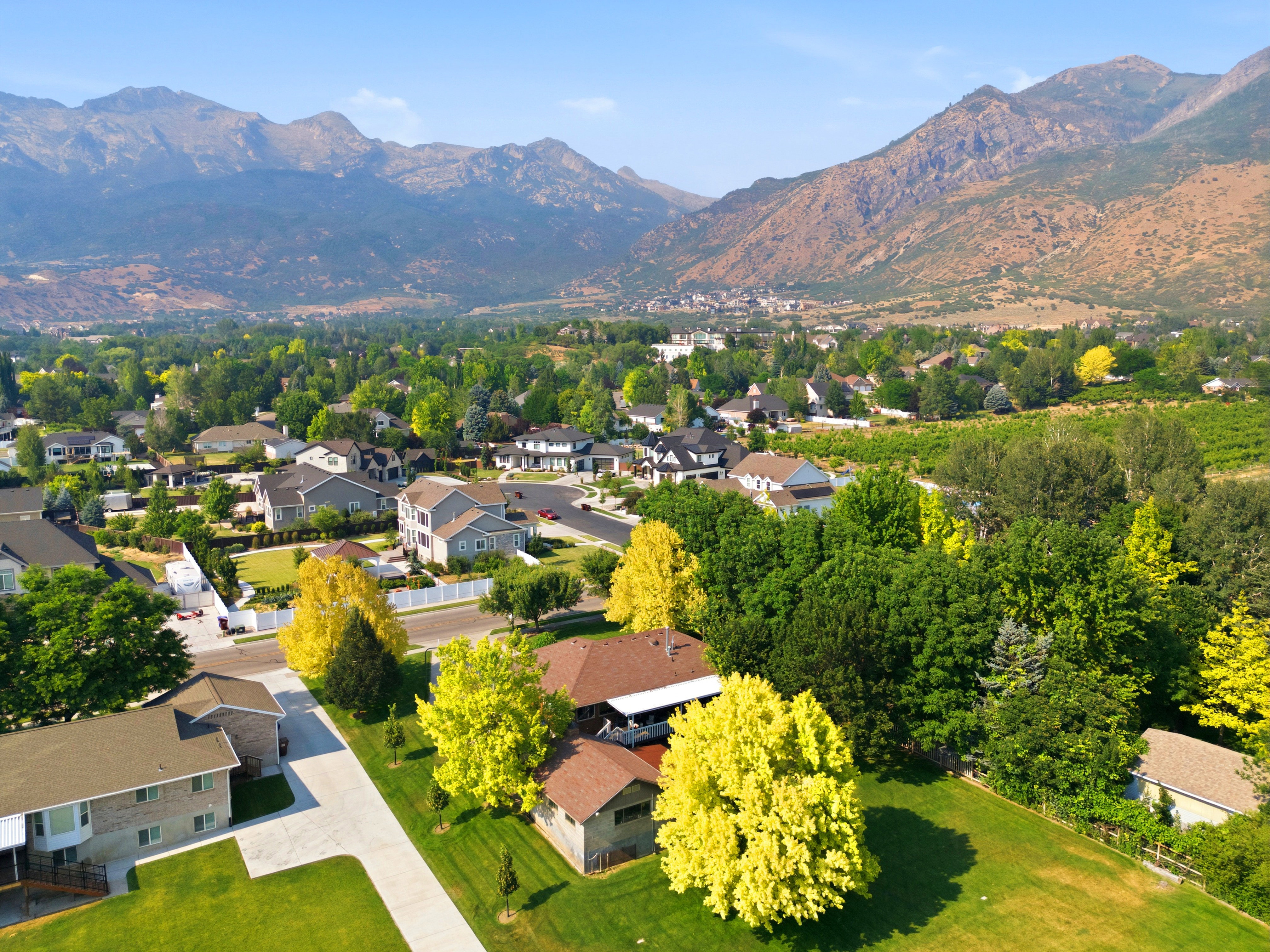 Residential neighborhood with mature trees and mountain backdrop