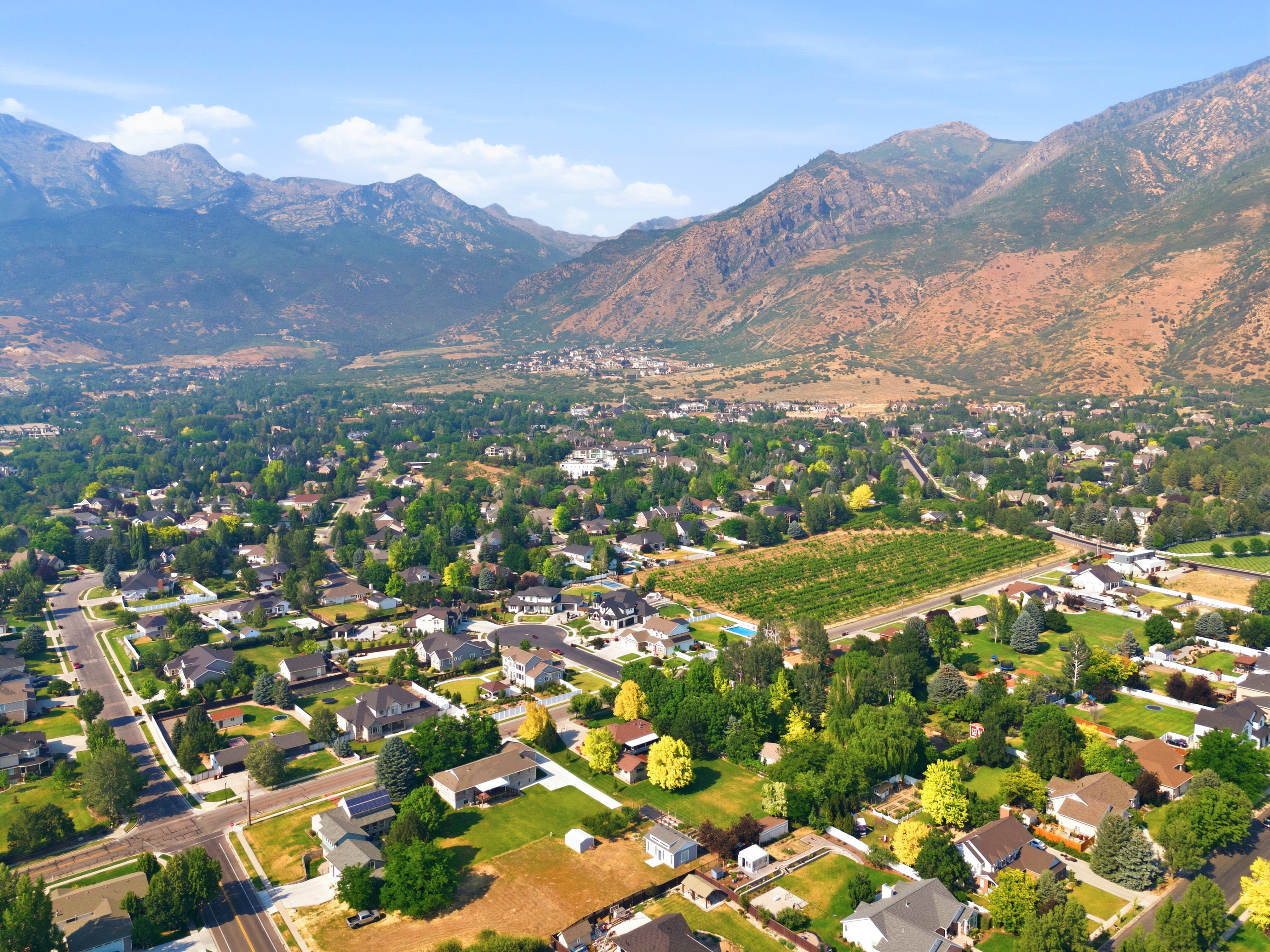 Expansive neighborhood with mature tree coverage and established homes