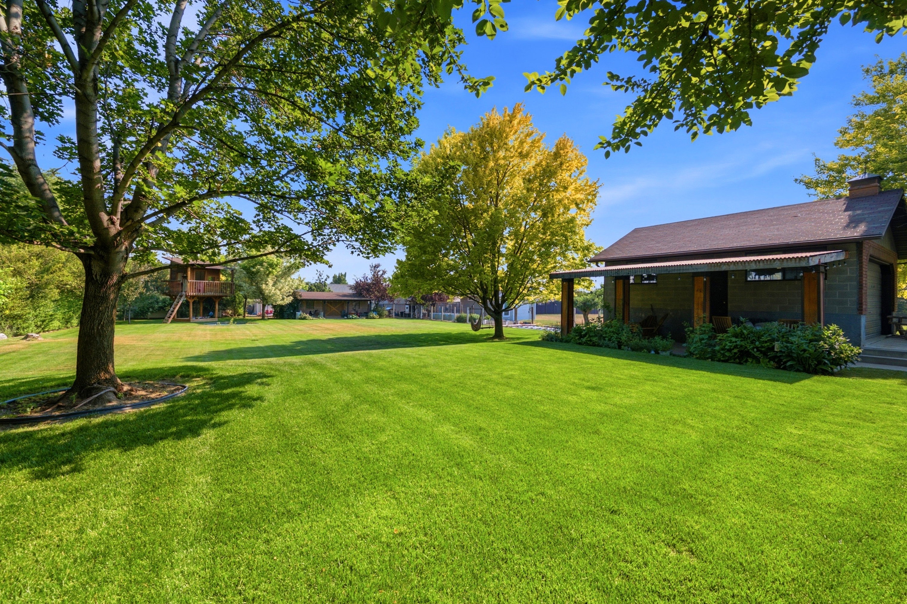 Expansive manicured lawn featuring mature trees