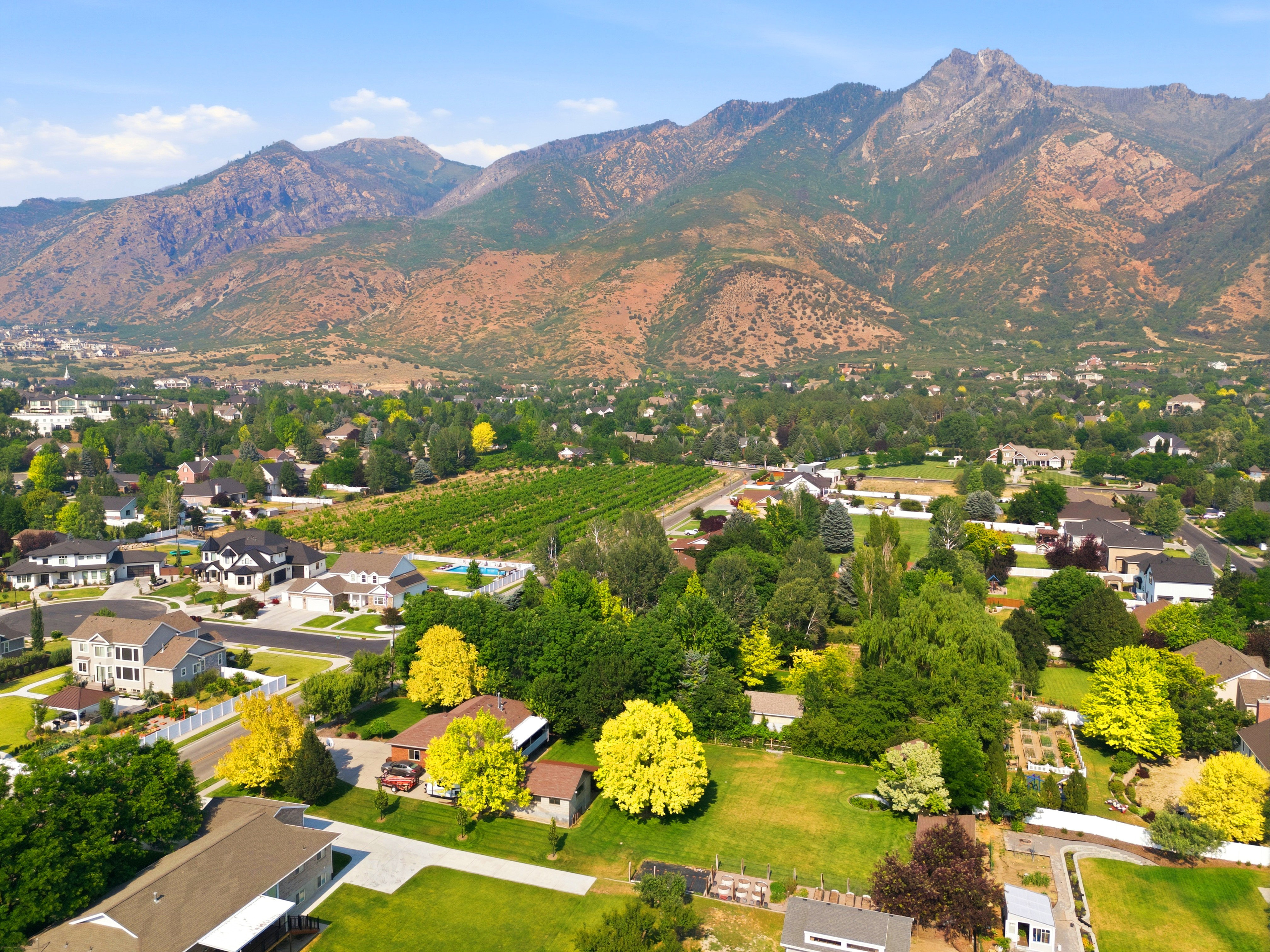 Expansive mountain range backdrop overlooking a residential area with varied home styles, mature landscaping, and an agricultural field