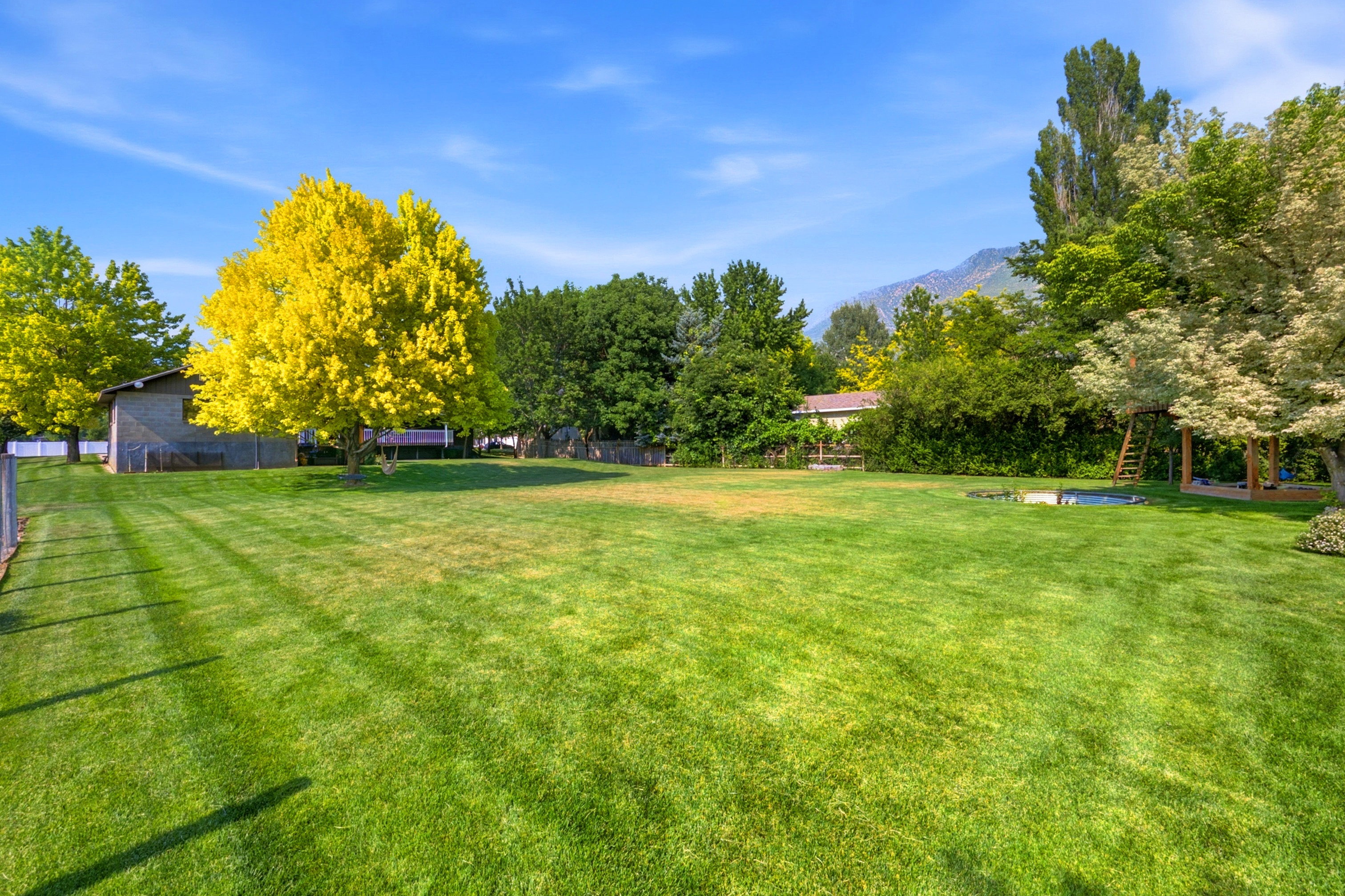 Expansive backyard featuring a lush lawn, mature trees, and partial mountain scenery in the background