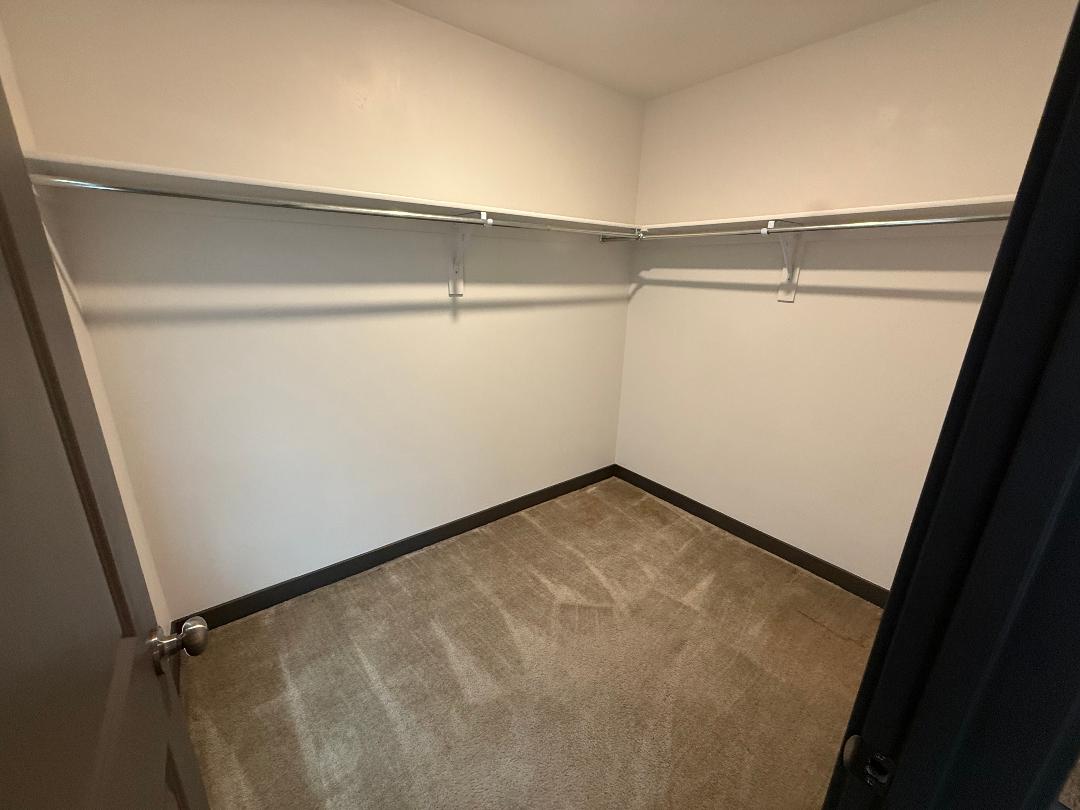 Walk-in closet featuring light beige carpet, white walls, and a corner-mounted hanging rod system