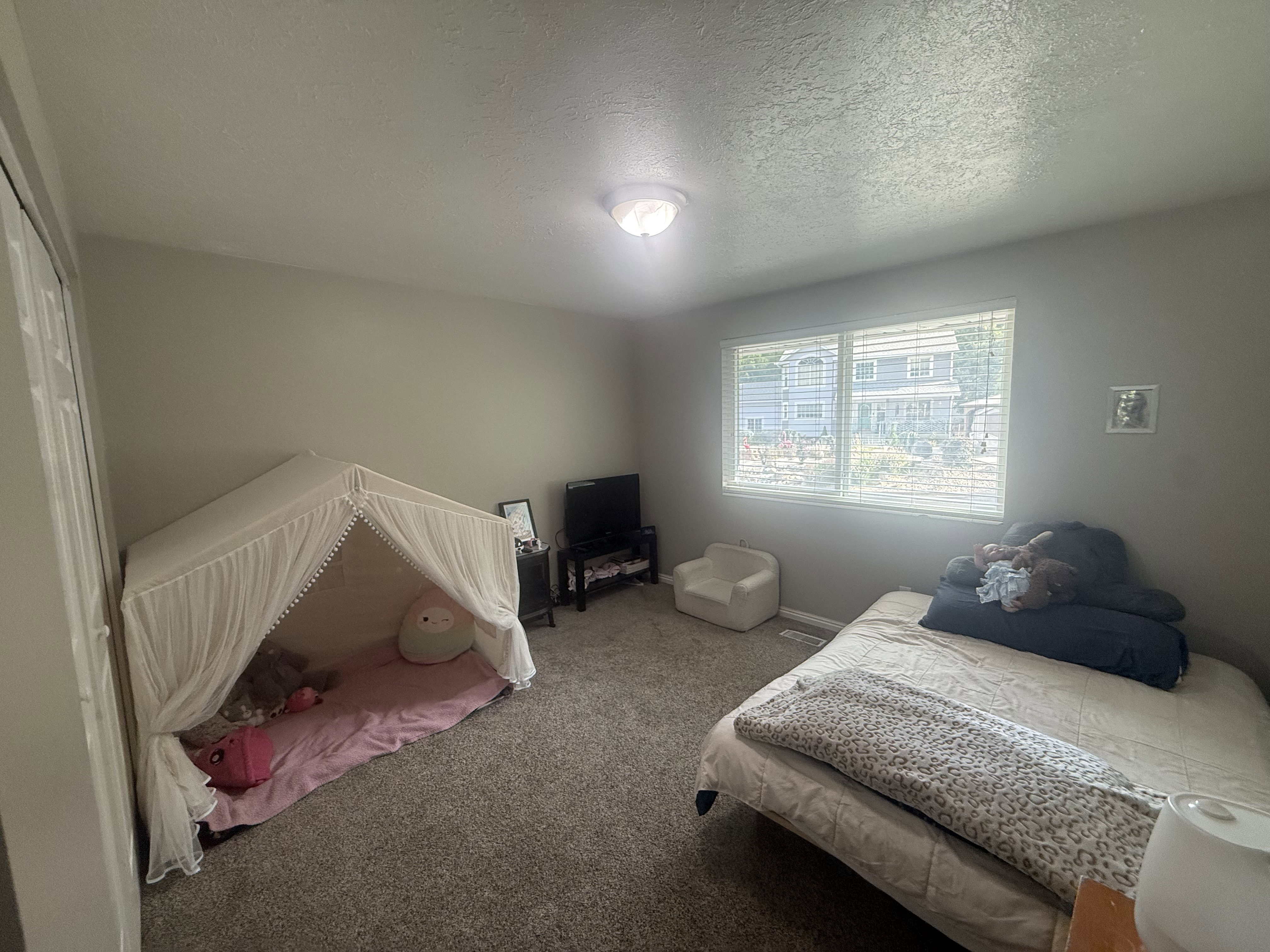 Room featuring neutral wall tones, textured carpeting, and a ceiling-mounted light fixture