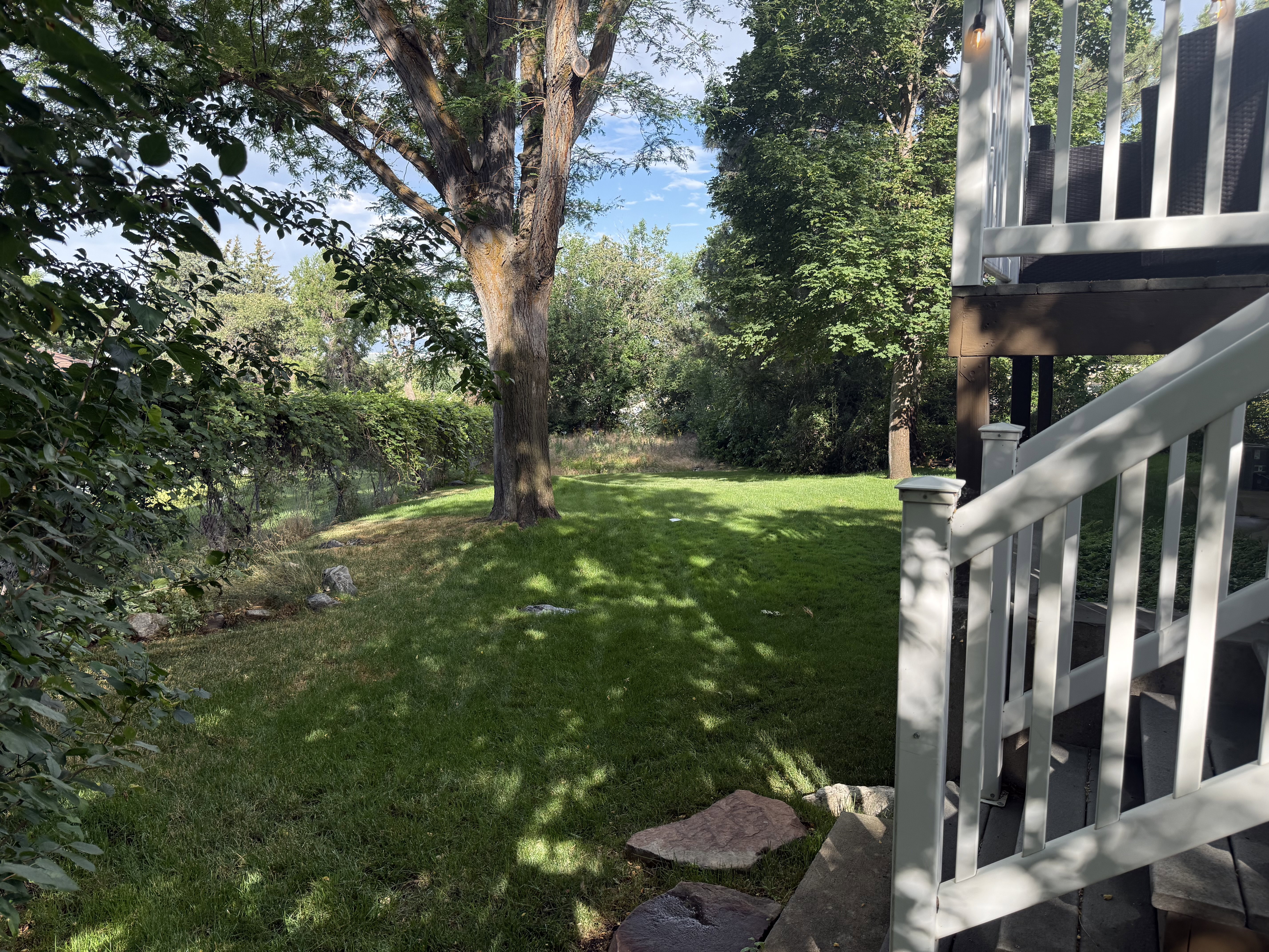 Expansive backyard featuring a manicured lawn, mature trees, and a multi-level deck with white railings