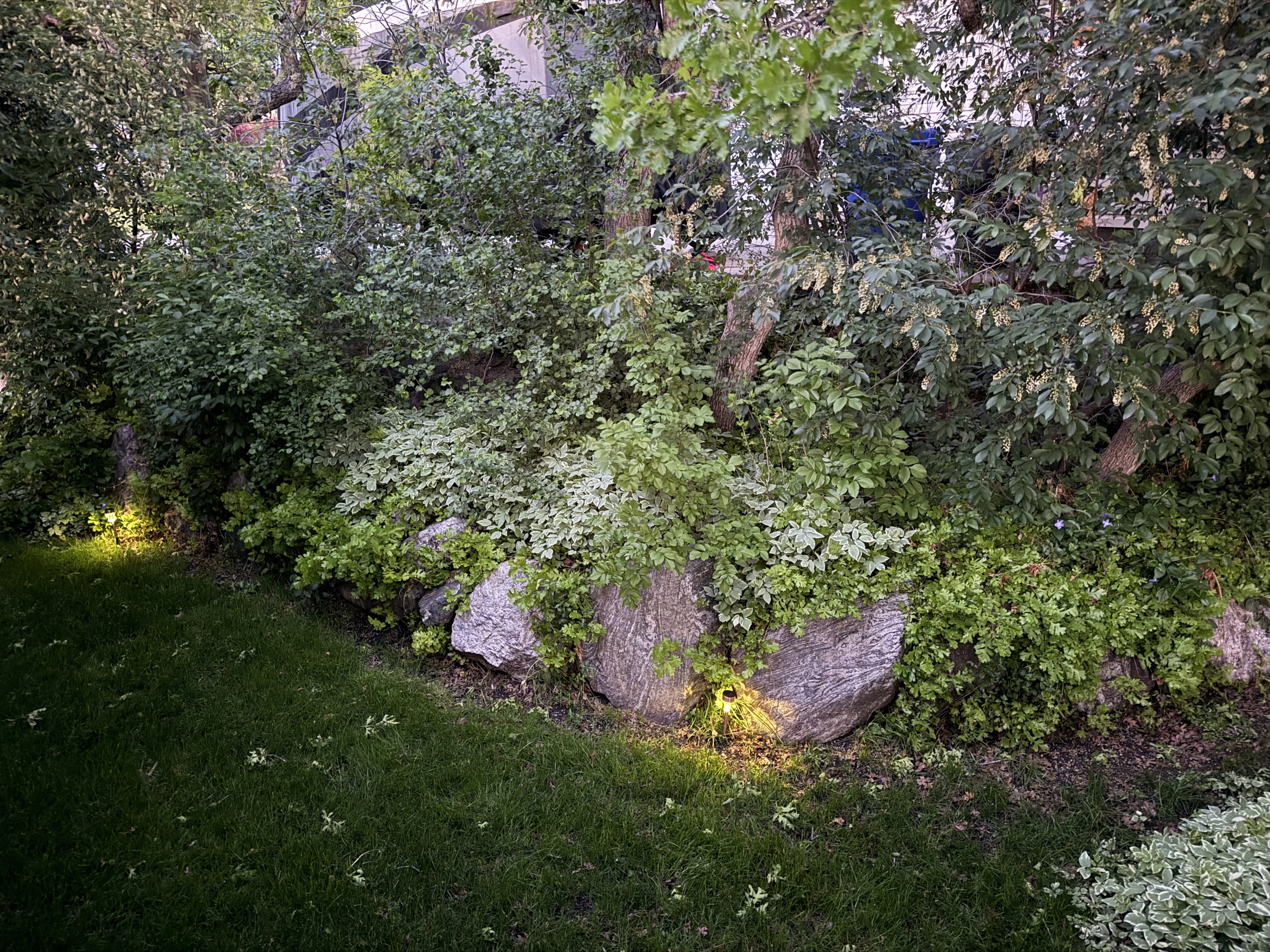 Lush landscaping featuring mature trees and varied foliage