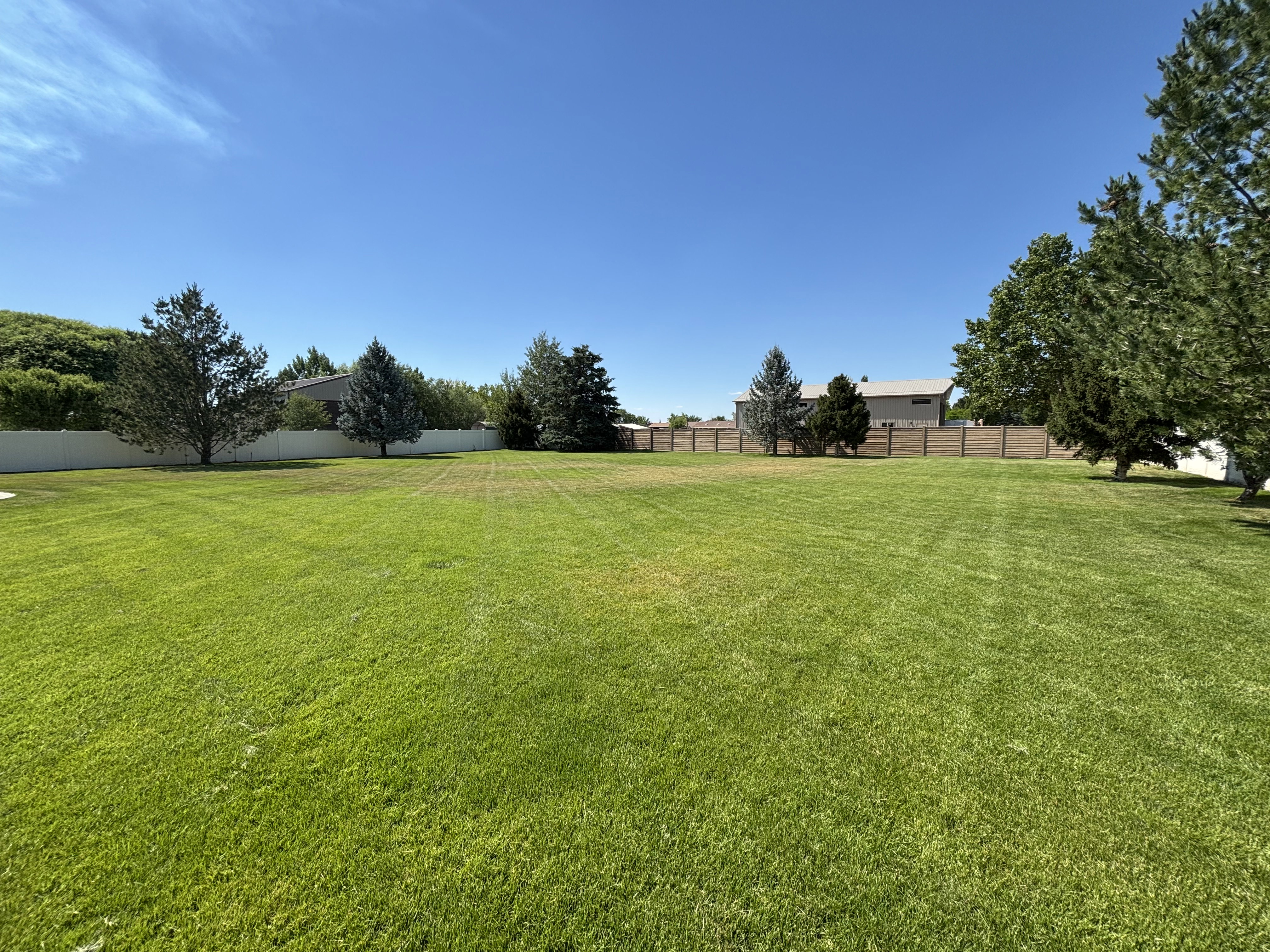 Expansive green lawn providing ample open space, bordered by a white privacy fence and mature trees