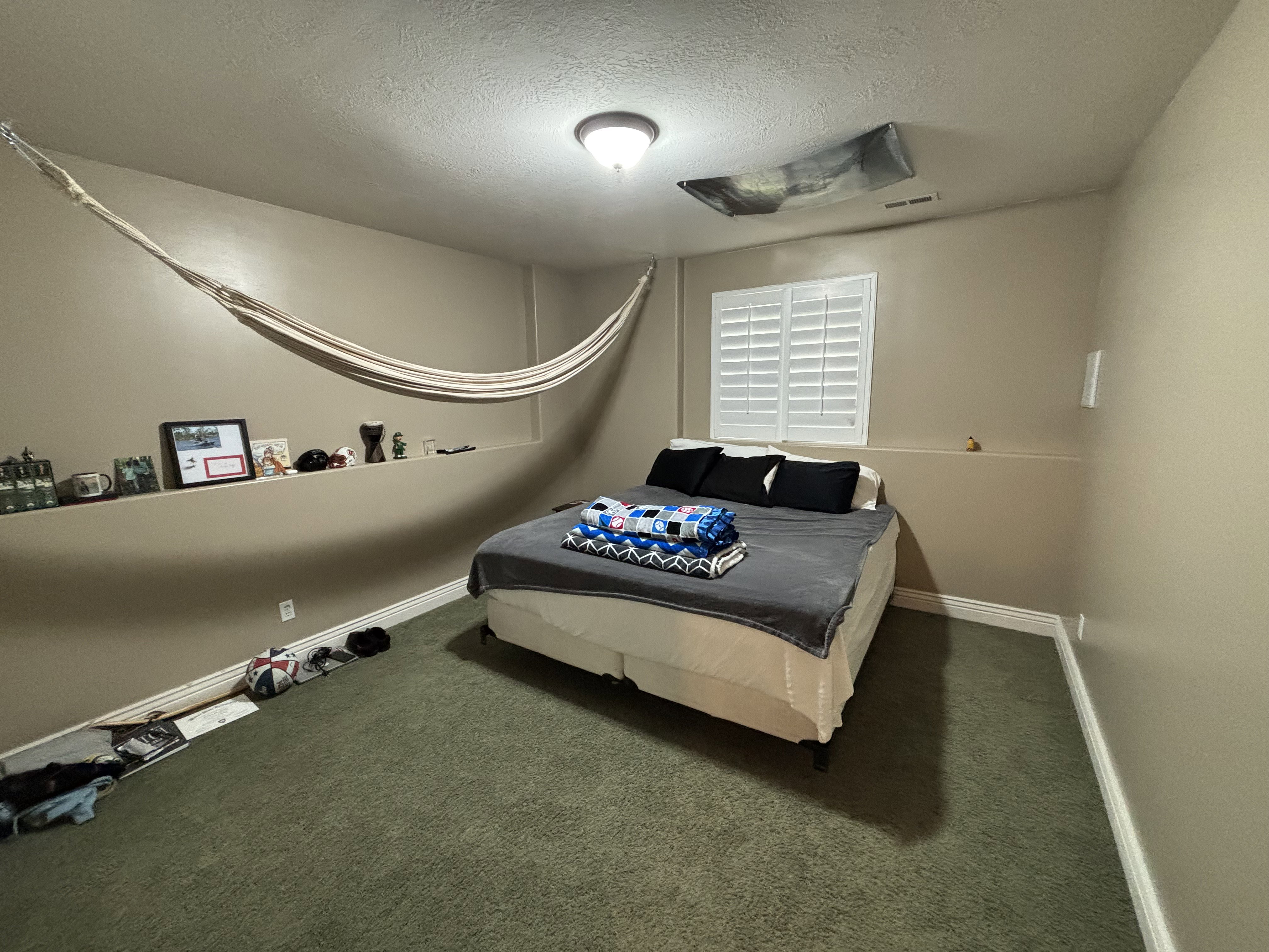 Carpeted room featuring a single window with white plantation shutters, a built-in wall shelf, and crown molding