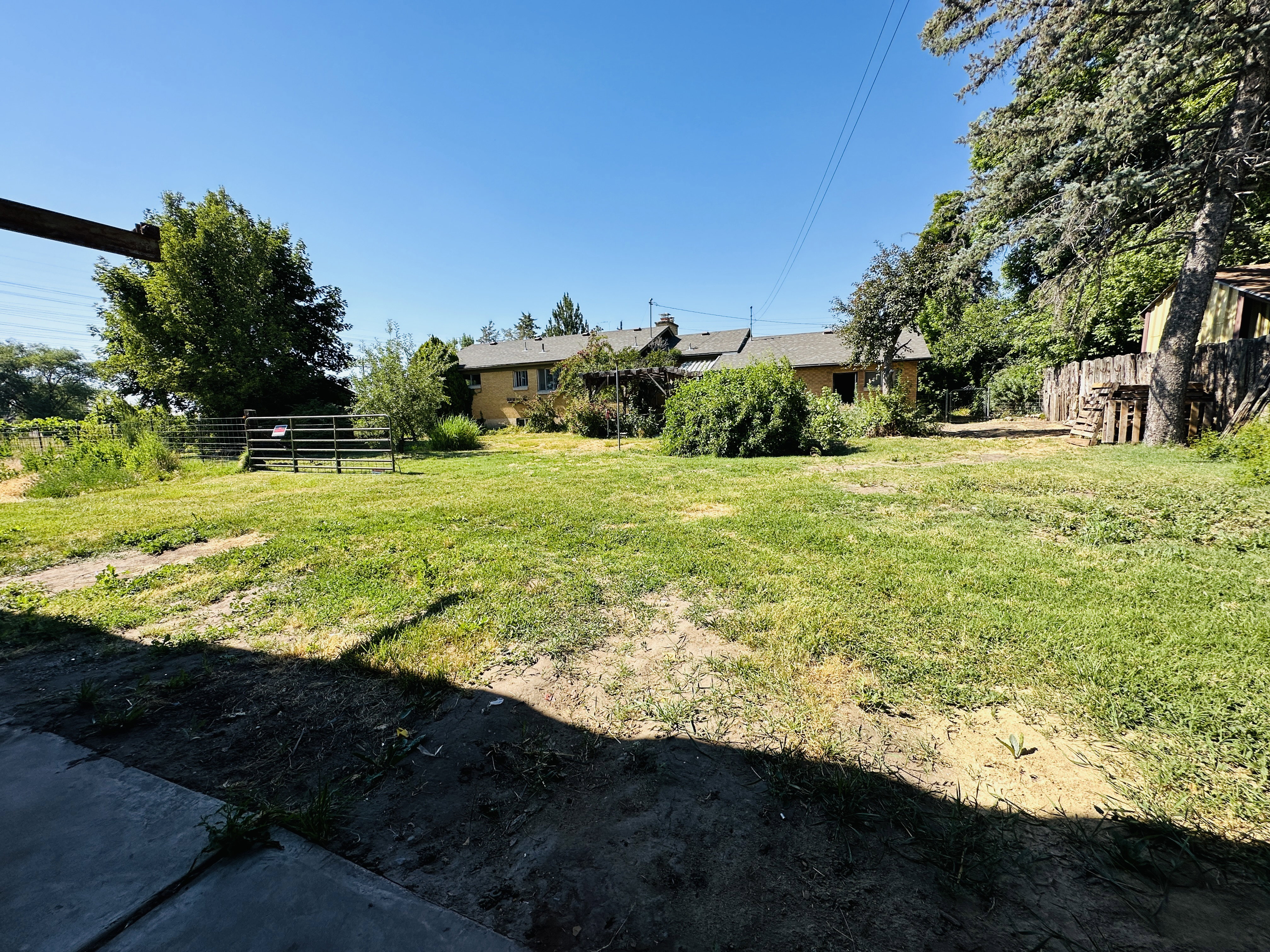 Expansive grassy area featuring mature trees and a wooden fence