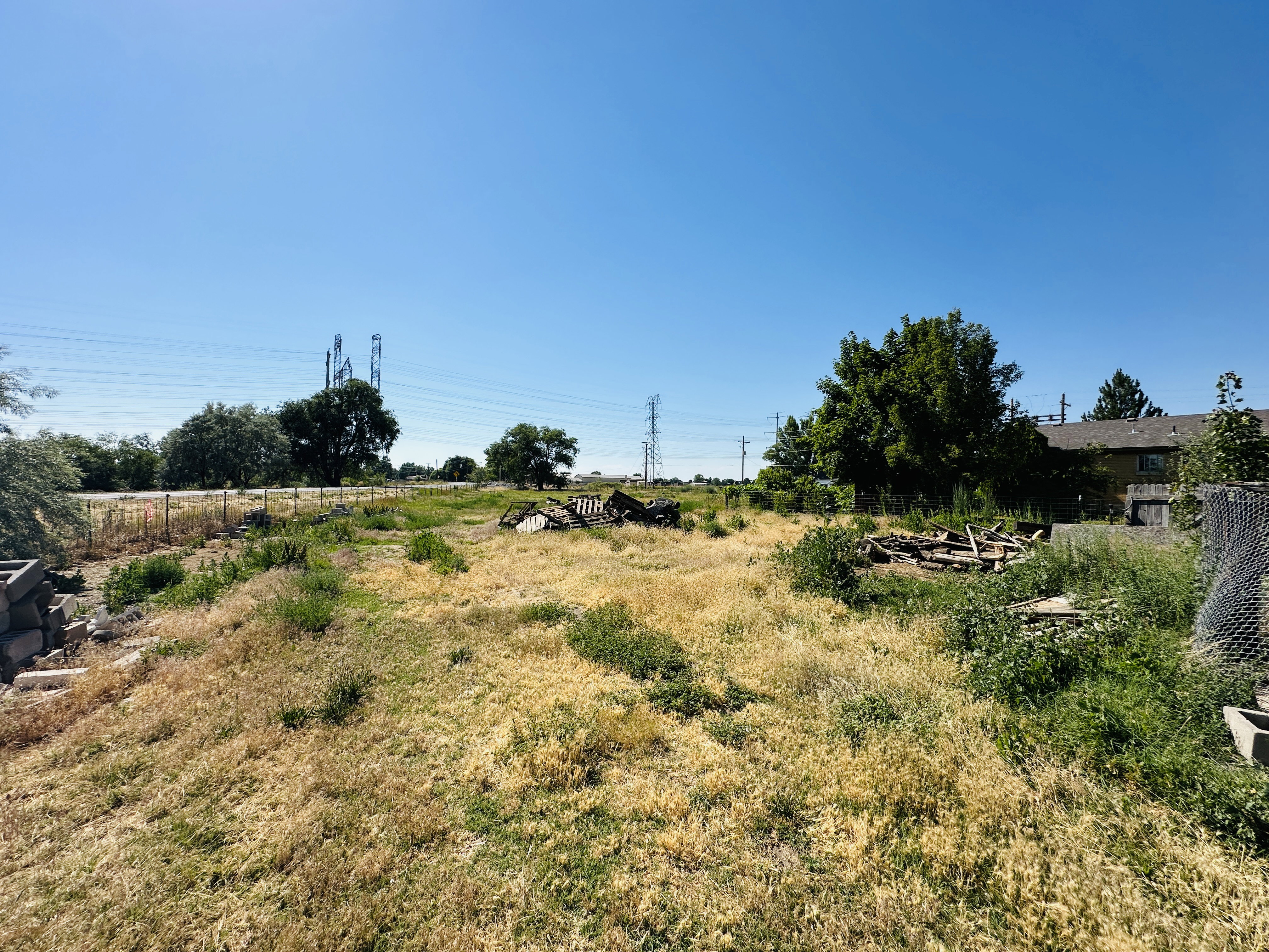 Expansive land parcel featuring natural grasses and mature trees