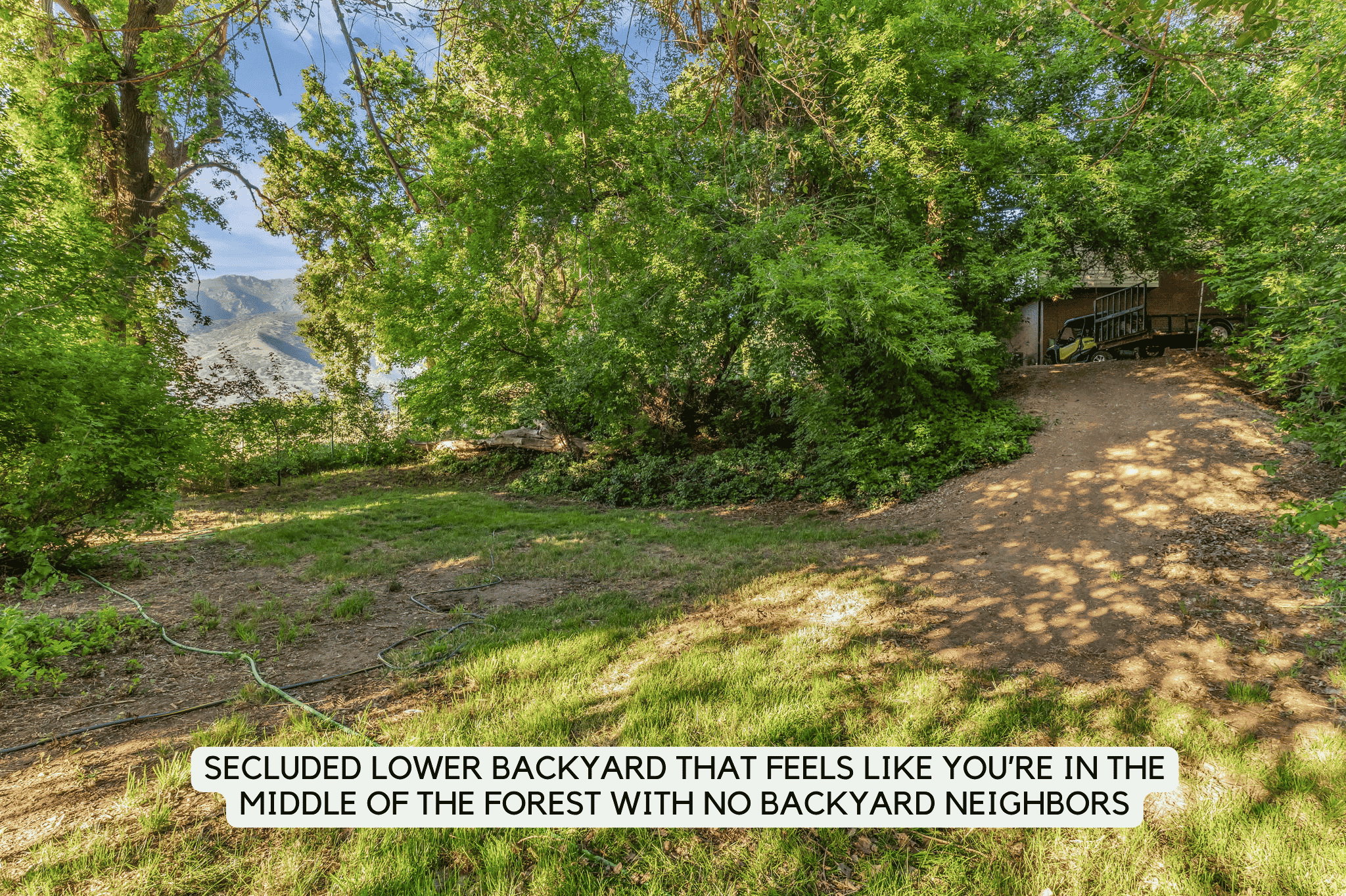 Expansive lower backyard featuring established trees, natural ground cover, and distant mountain scenery