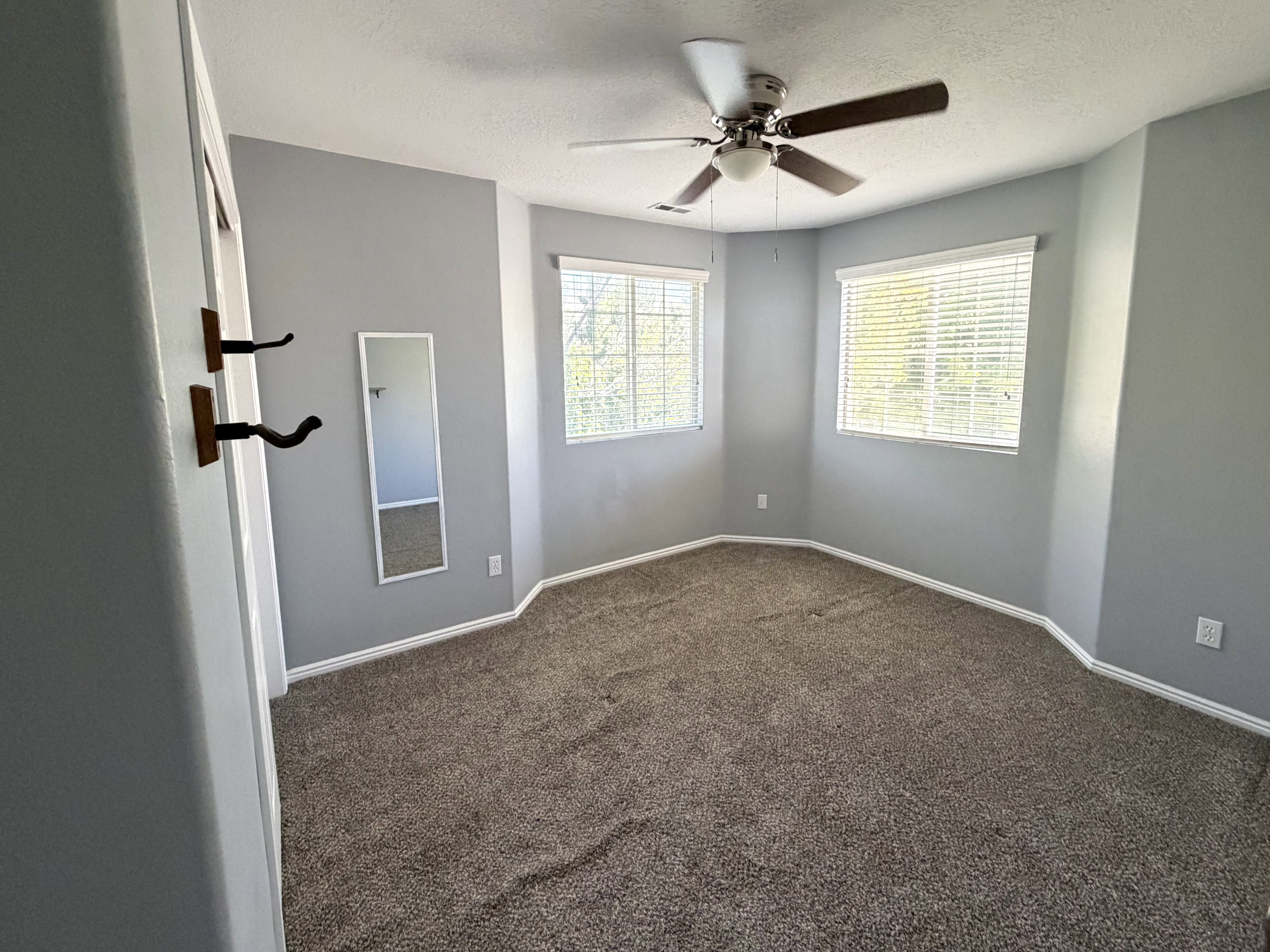 Neutral gray walls complement the textured brown carpeting