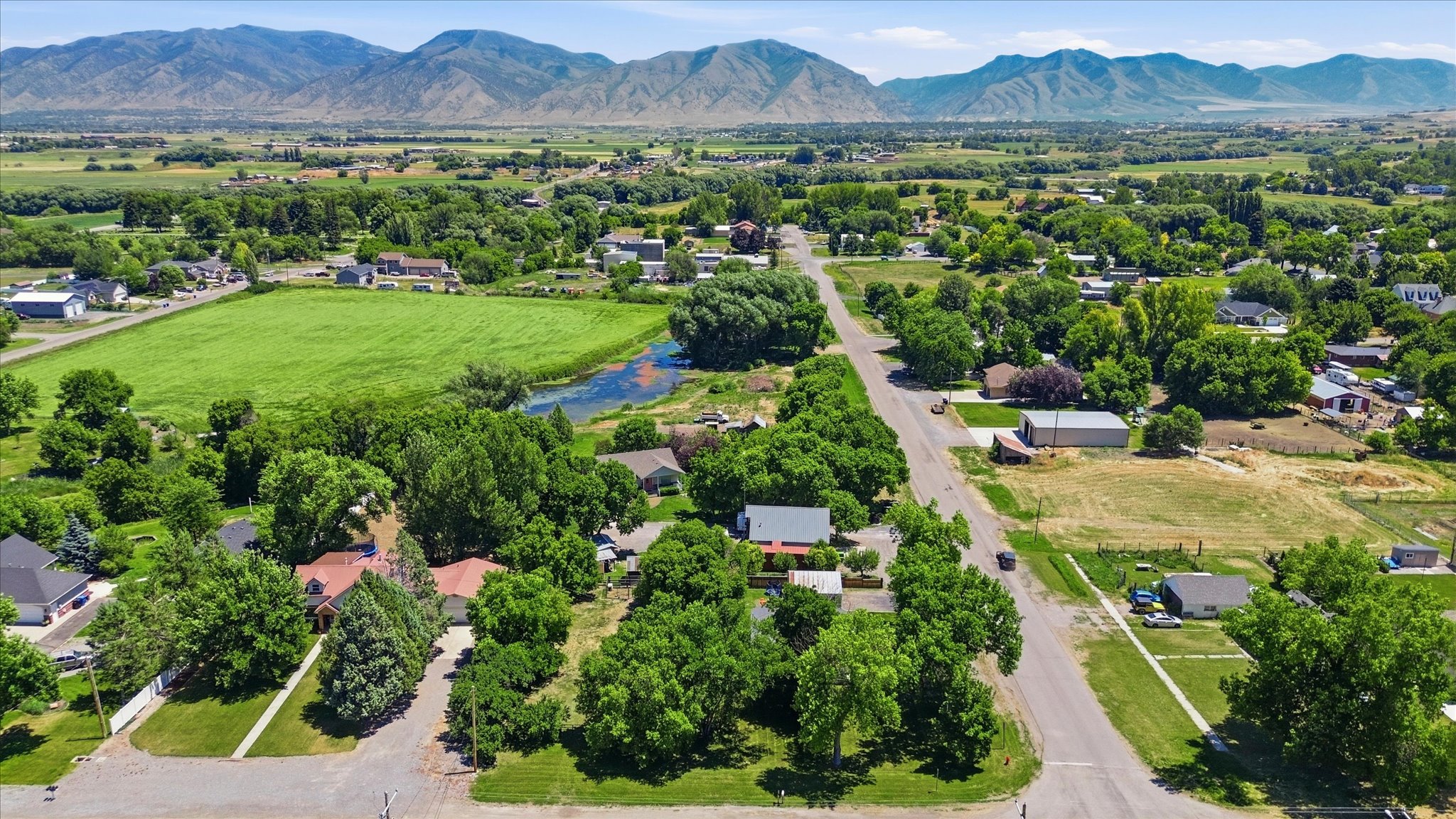 Aerial perspective showcasing a rural setting with distant mountains, lush green fields, and mature trees