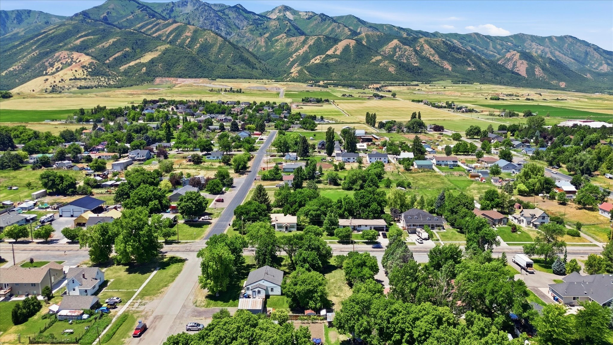 Expansive aerial capturing a neighborhood setting with verdant trees, surrounding fields, and distant mountains