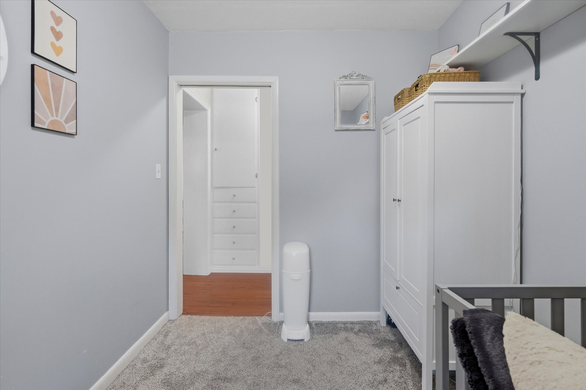 Plush gray carpeting extends throughout, complemented by light gray wall paint