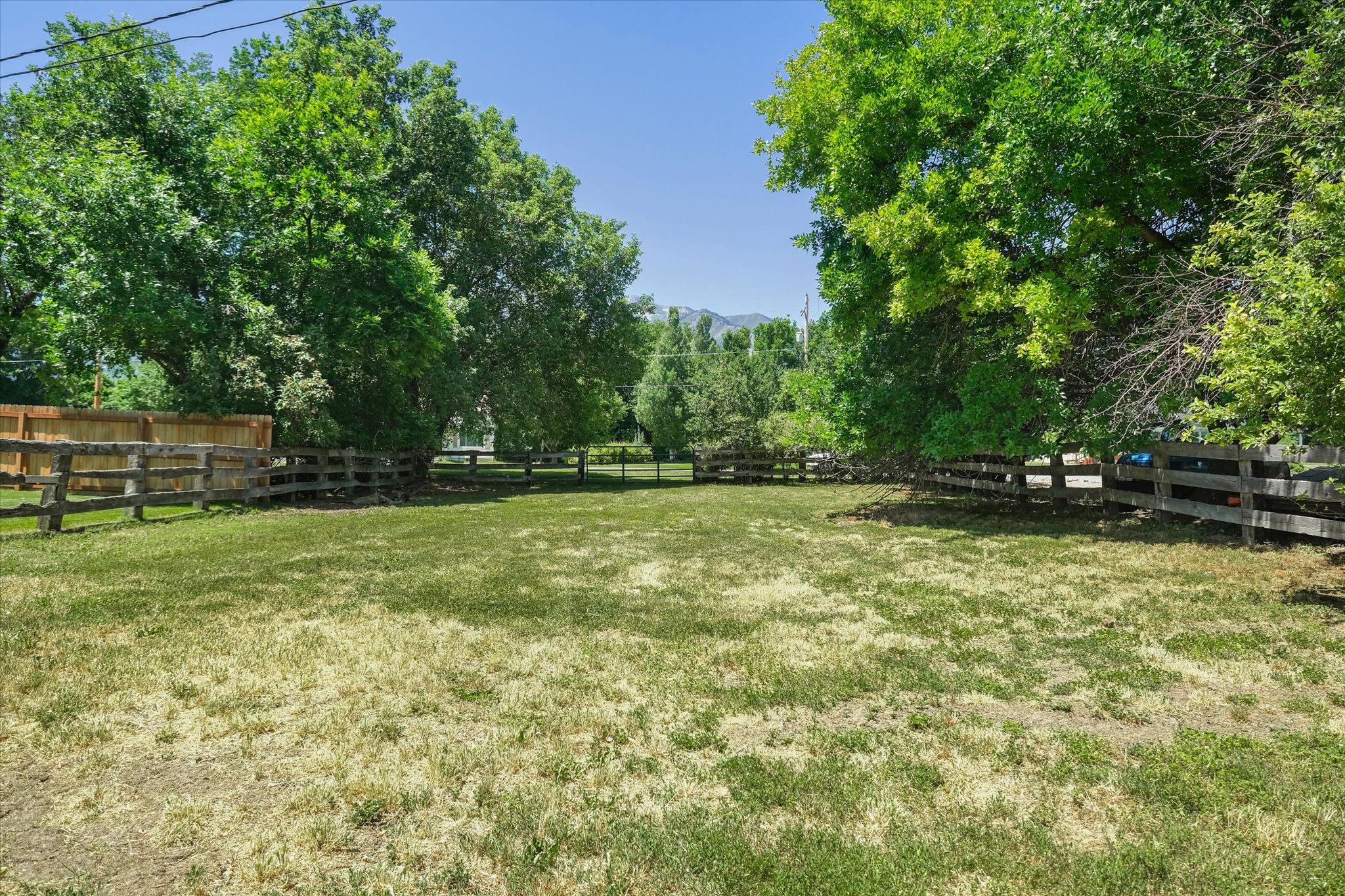 Expansive green space featuring mature trees and split rail fencing