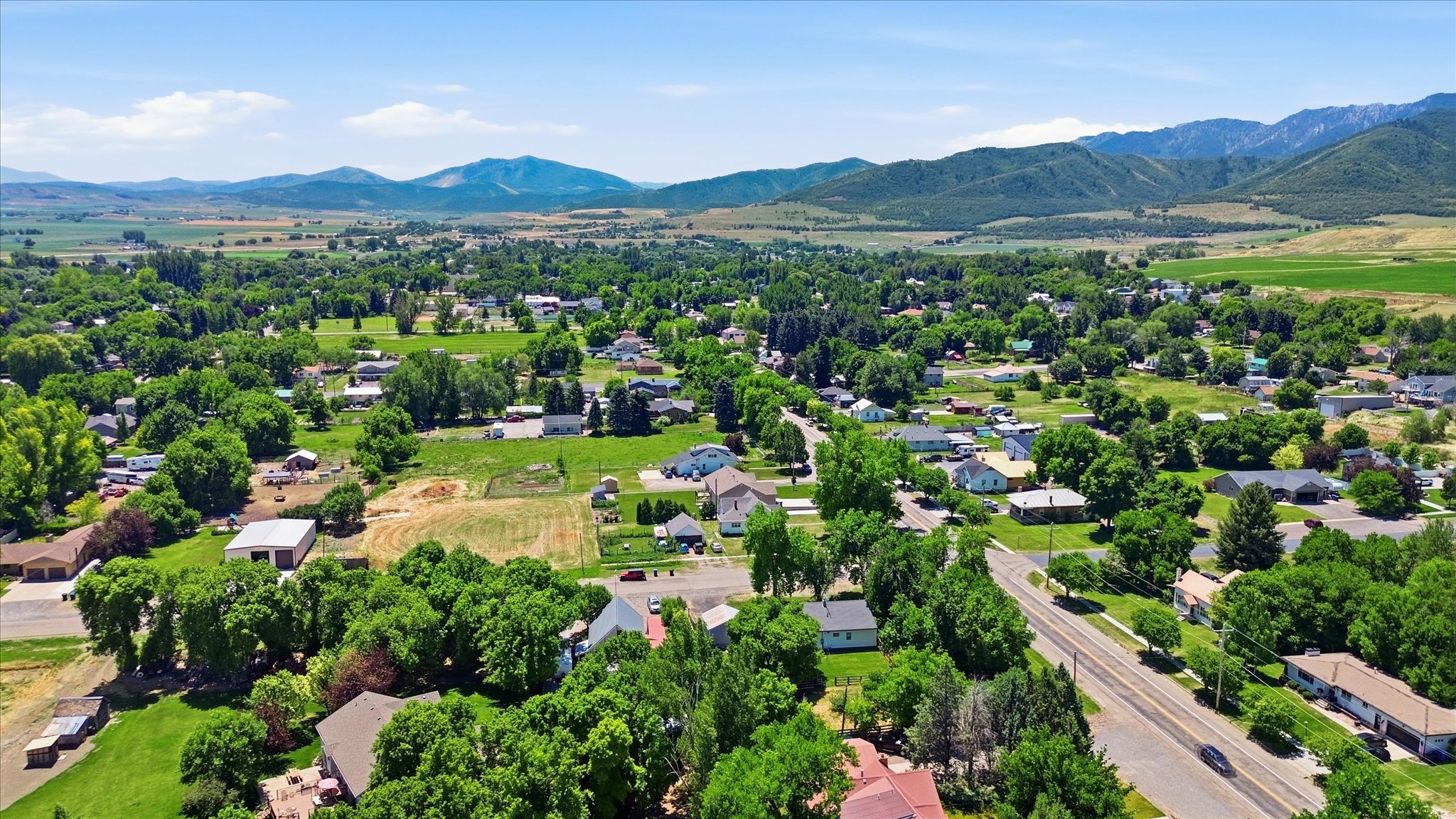Expansive aerial perspective showcasing a residential area with varied housing styles and abundant mature trees