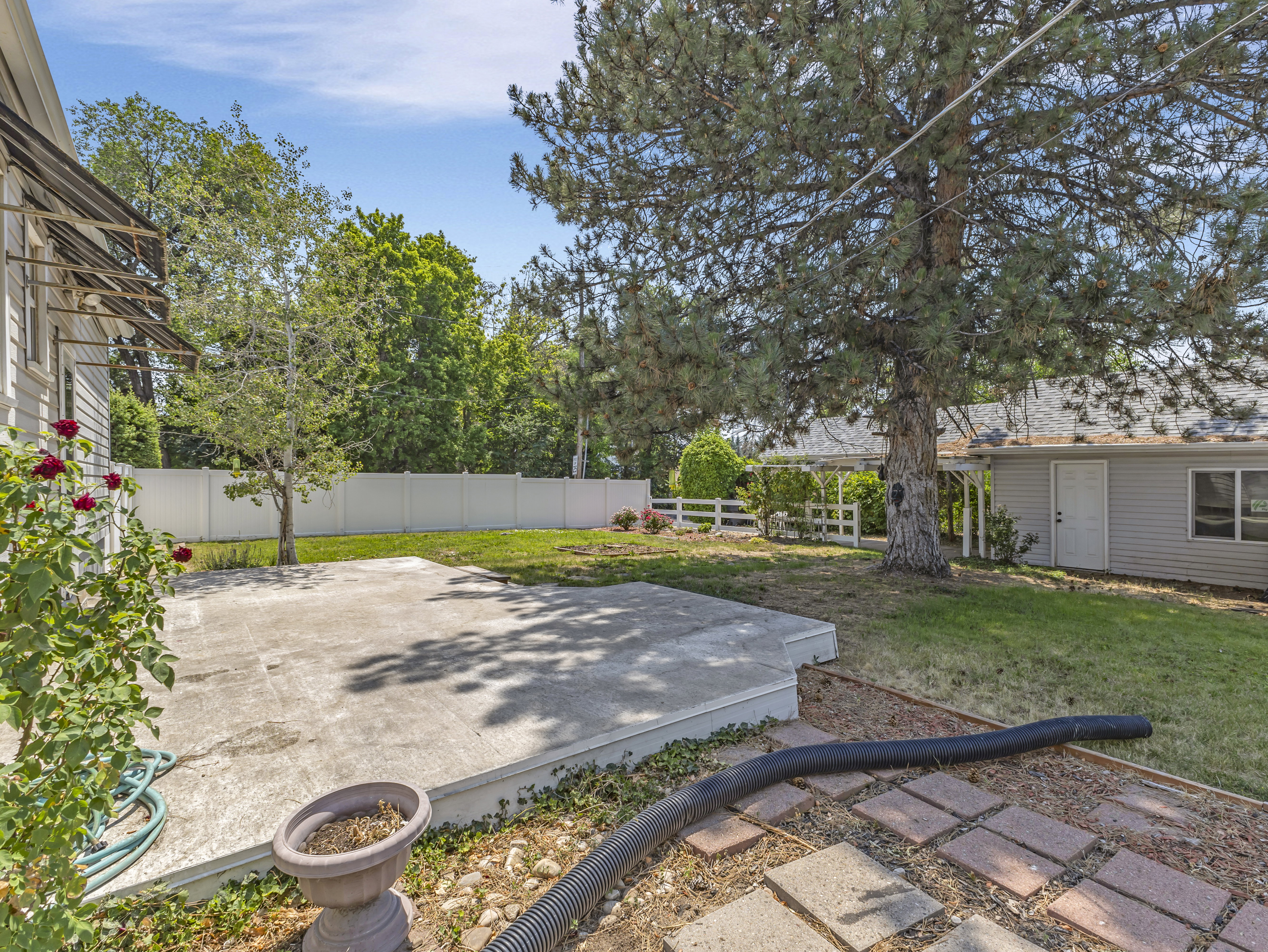 Spacious backyard featuring a concrete patio, a section of lawn, and mature trees