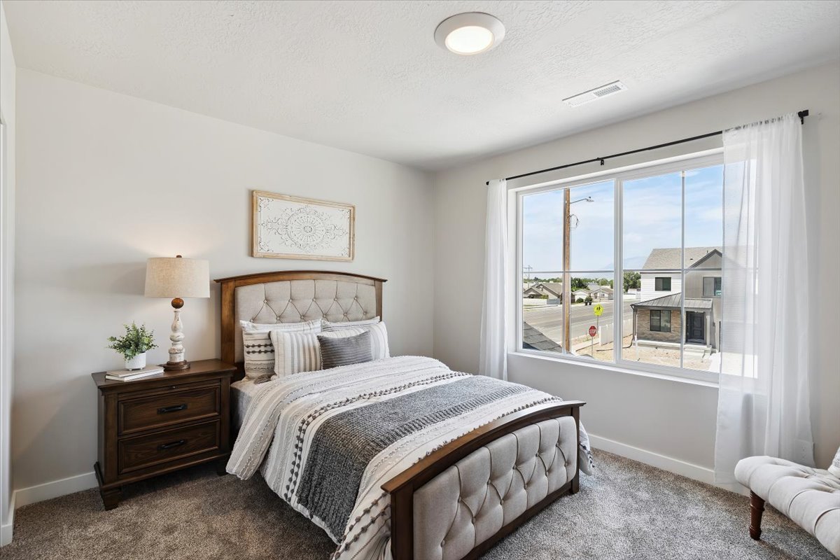 Carpeted room featuring a large window with white trim, a flush-mount ceiling light, and light-toned walls
