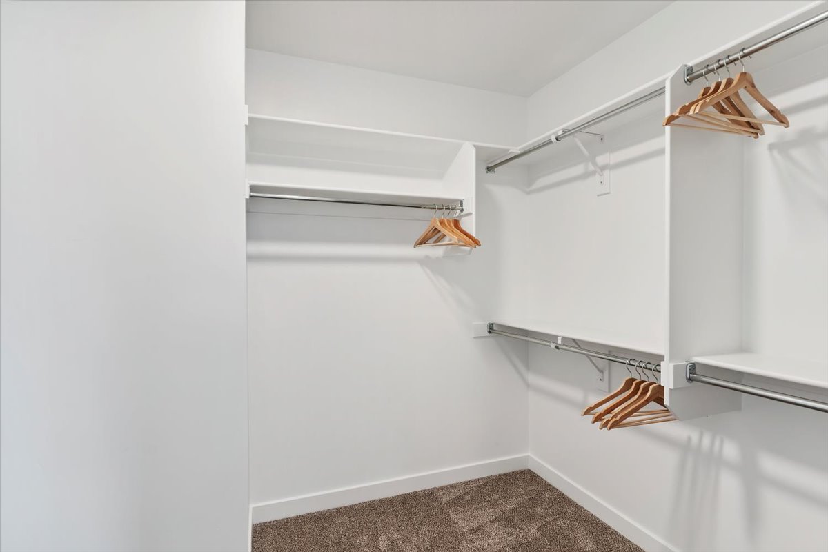 Walk-in closet featuring white shelving, multiple chrome hanging rods, and carpet flooring