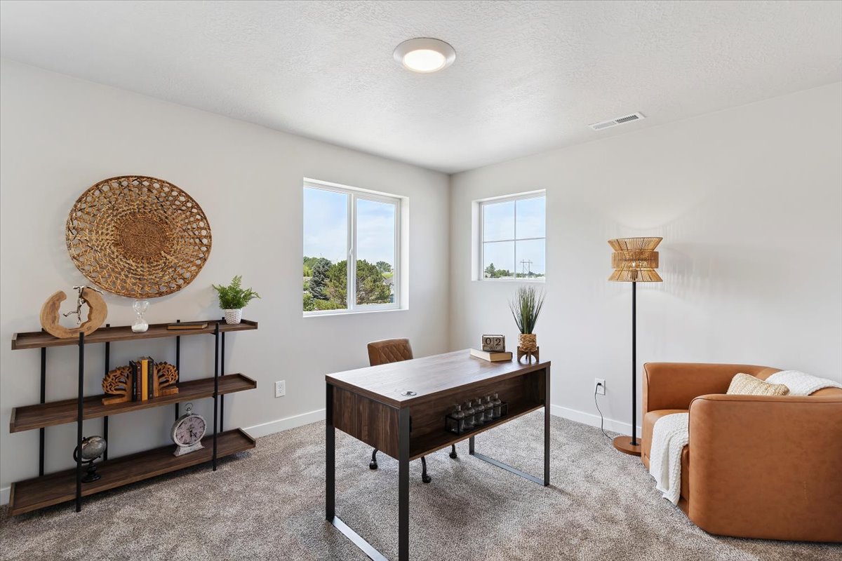 Bright room featuring light gray walls, plush gray carpeting, and a white ceiling with a flush-mount light fixture